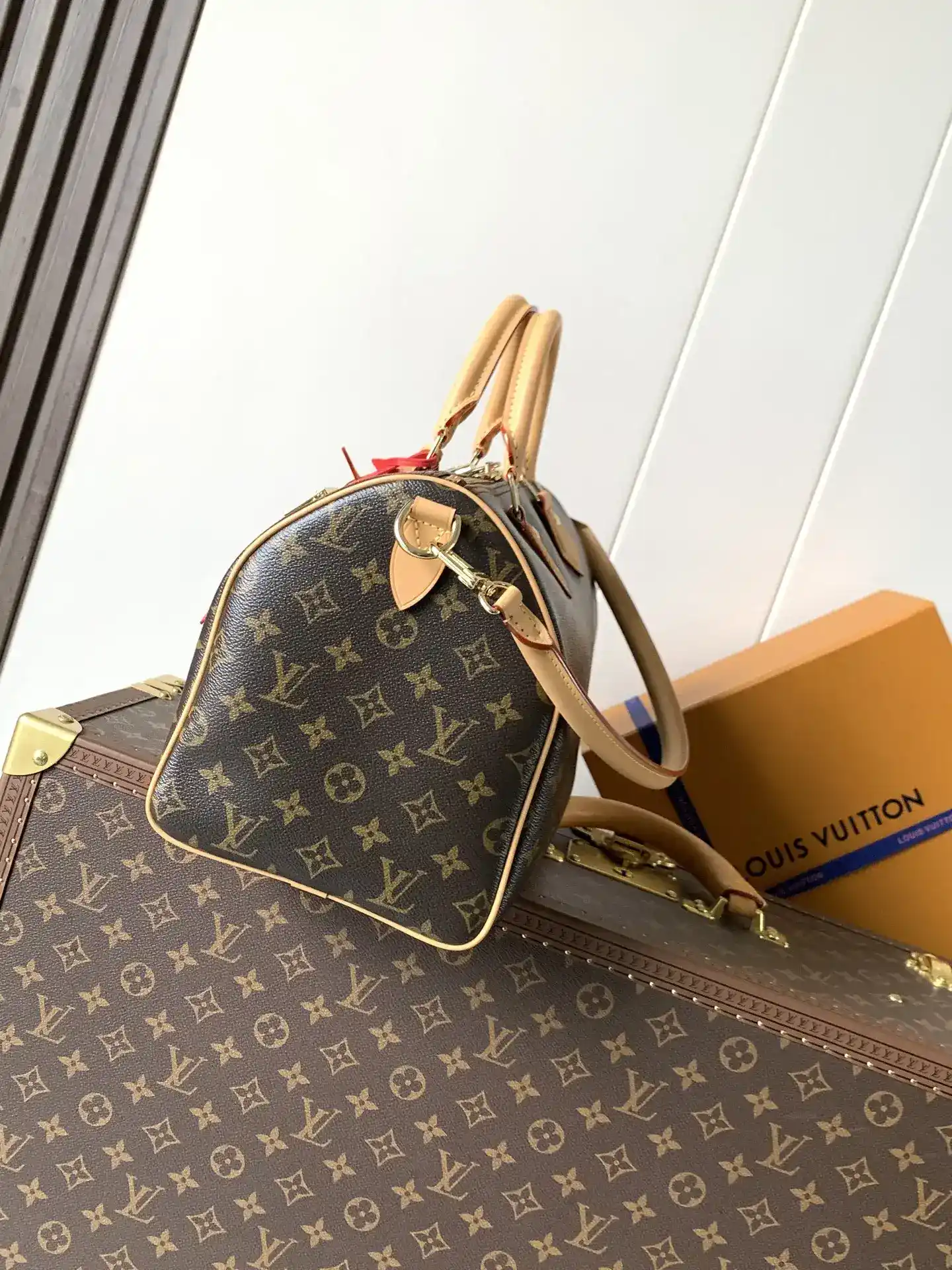Louis Vuitton Speedy Monogram Canvas Top Handle Bag product photo from LabelPicks