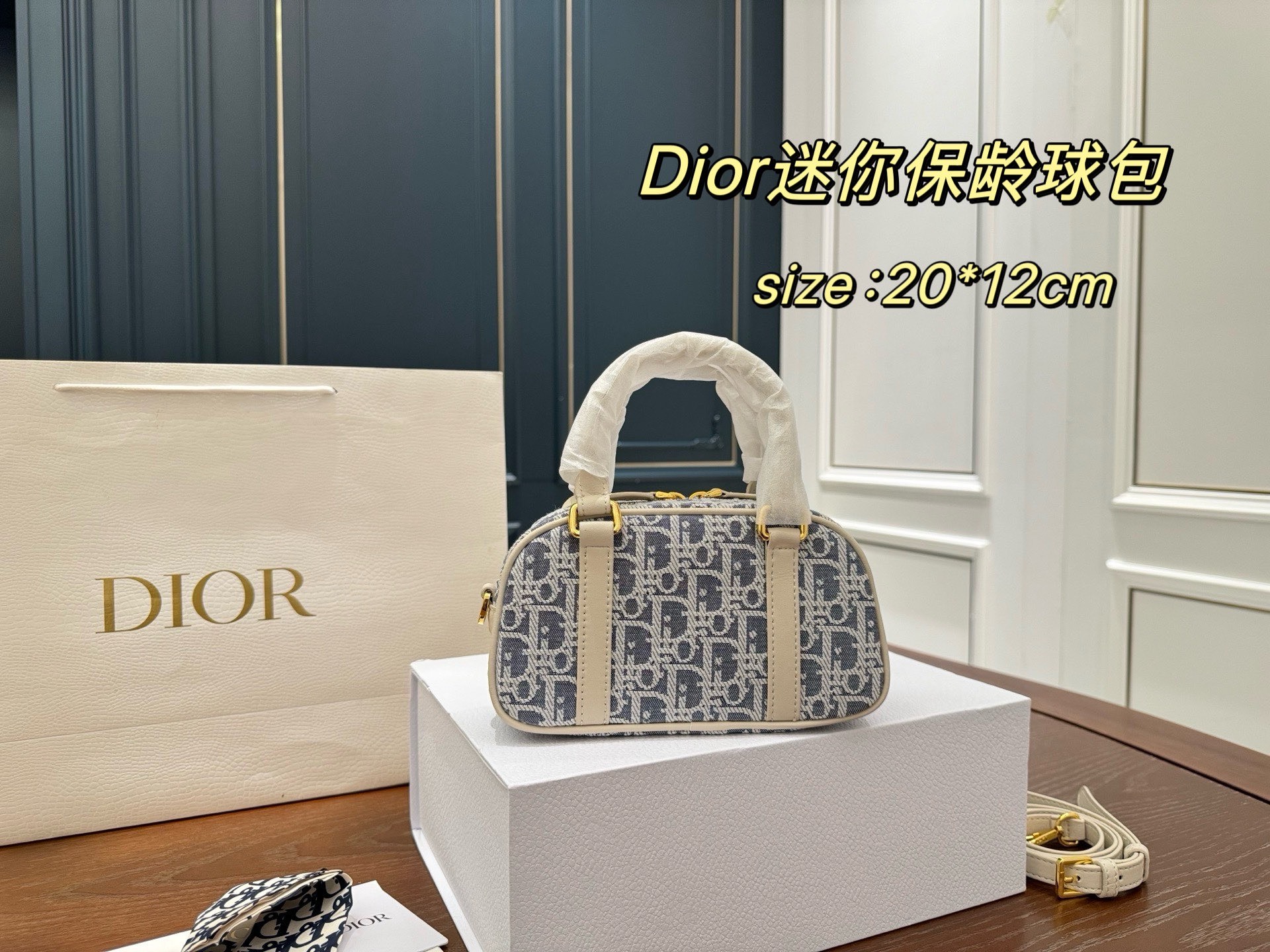Dior Mini Bowling Bag
