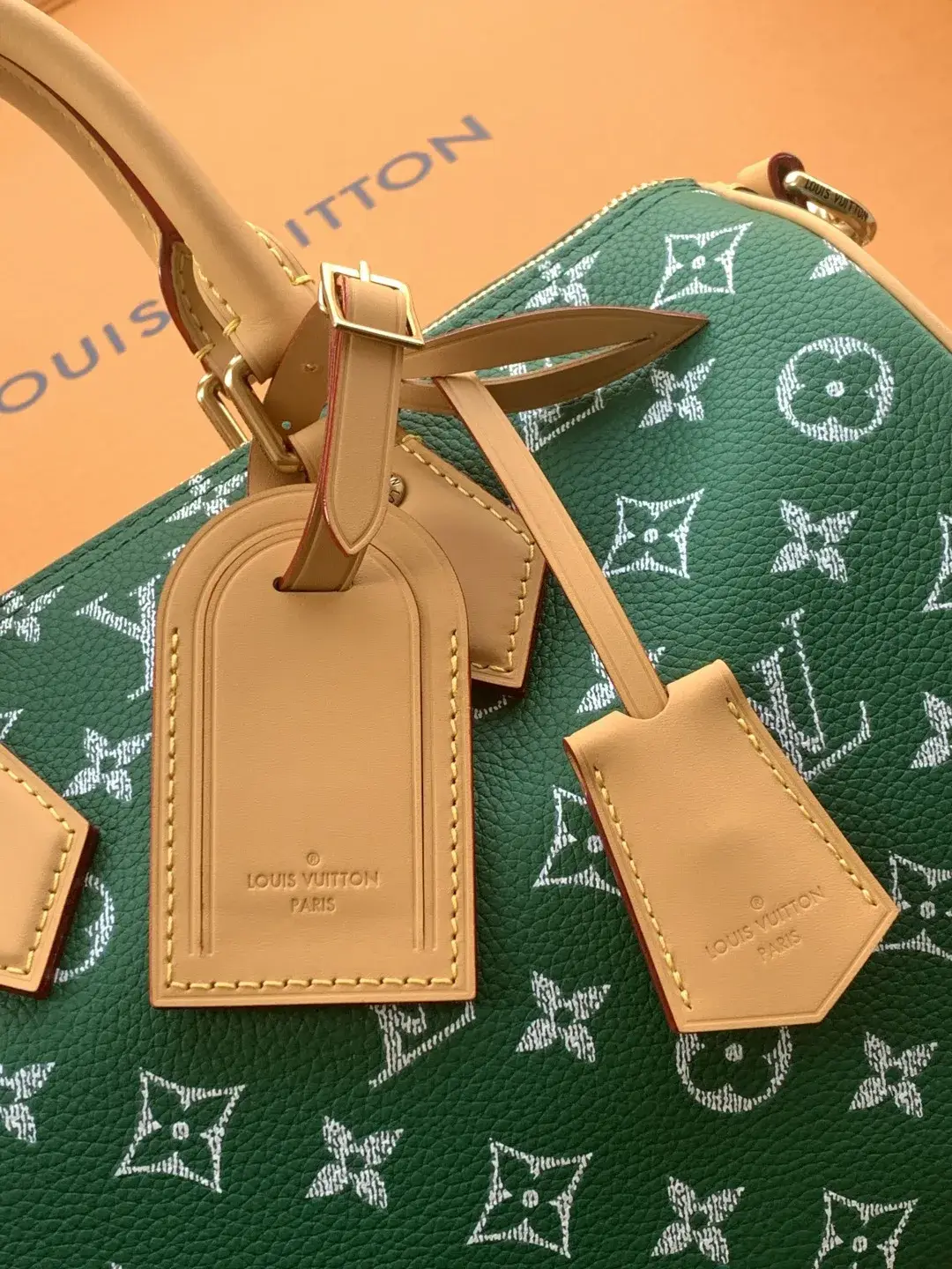 Louis Vuitton Green Top Handle Bag product photo from LabelPicks