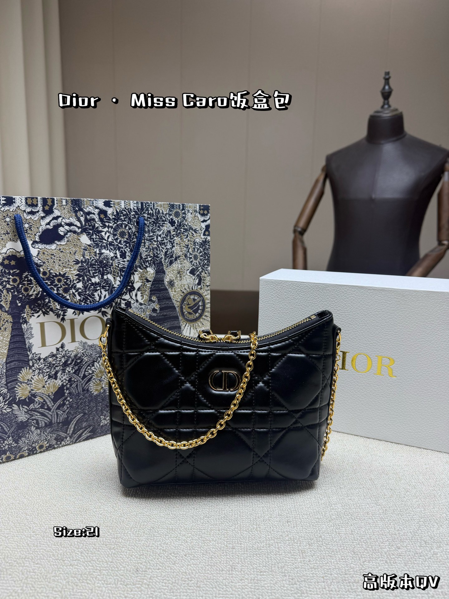 Dior Miss Caro Lunchbox Bag