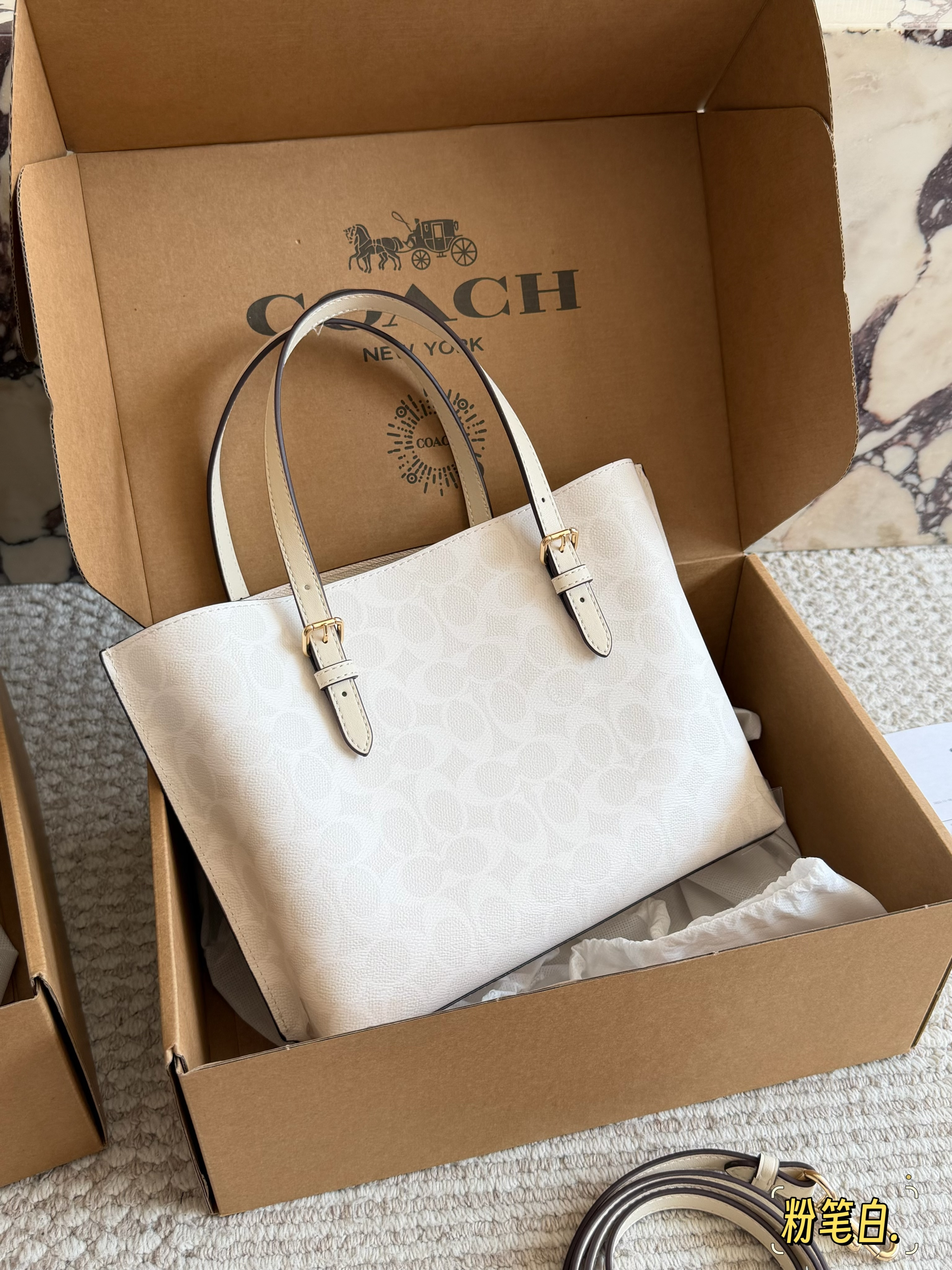 coach Mollie  tote25 bag