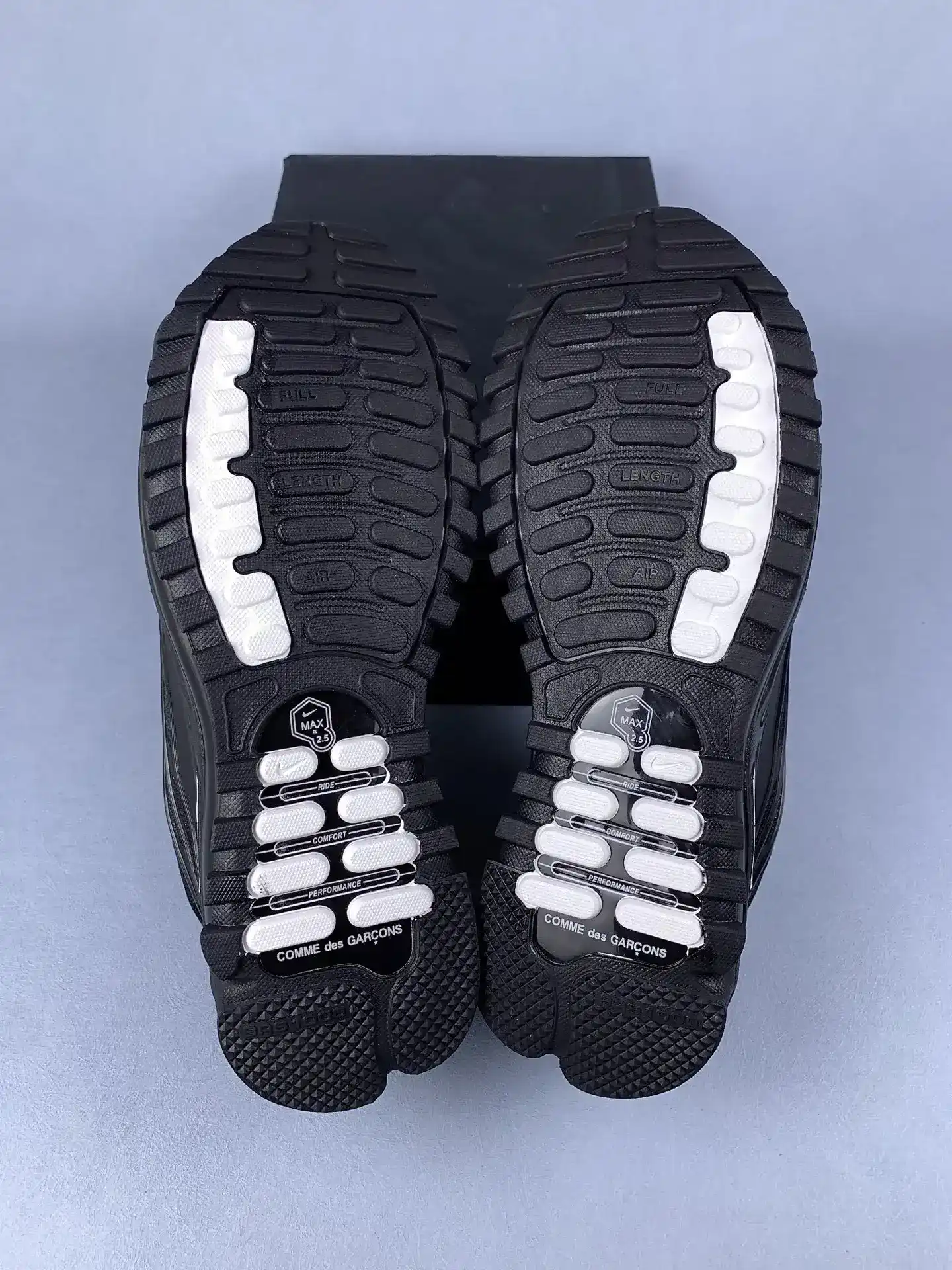 Comme des Garçons Homme Plus x Nike Air Max TL 2.5 Shoes product photo from LabelPicks