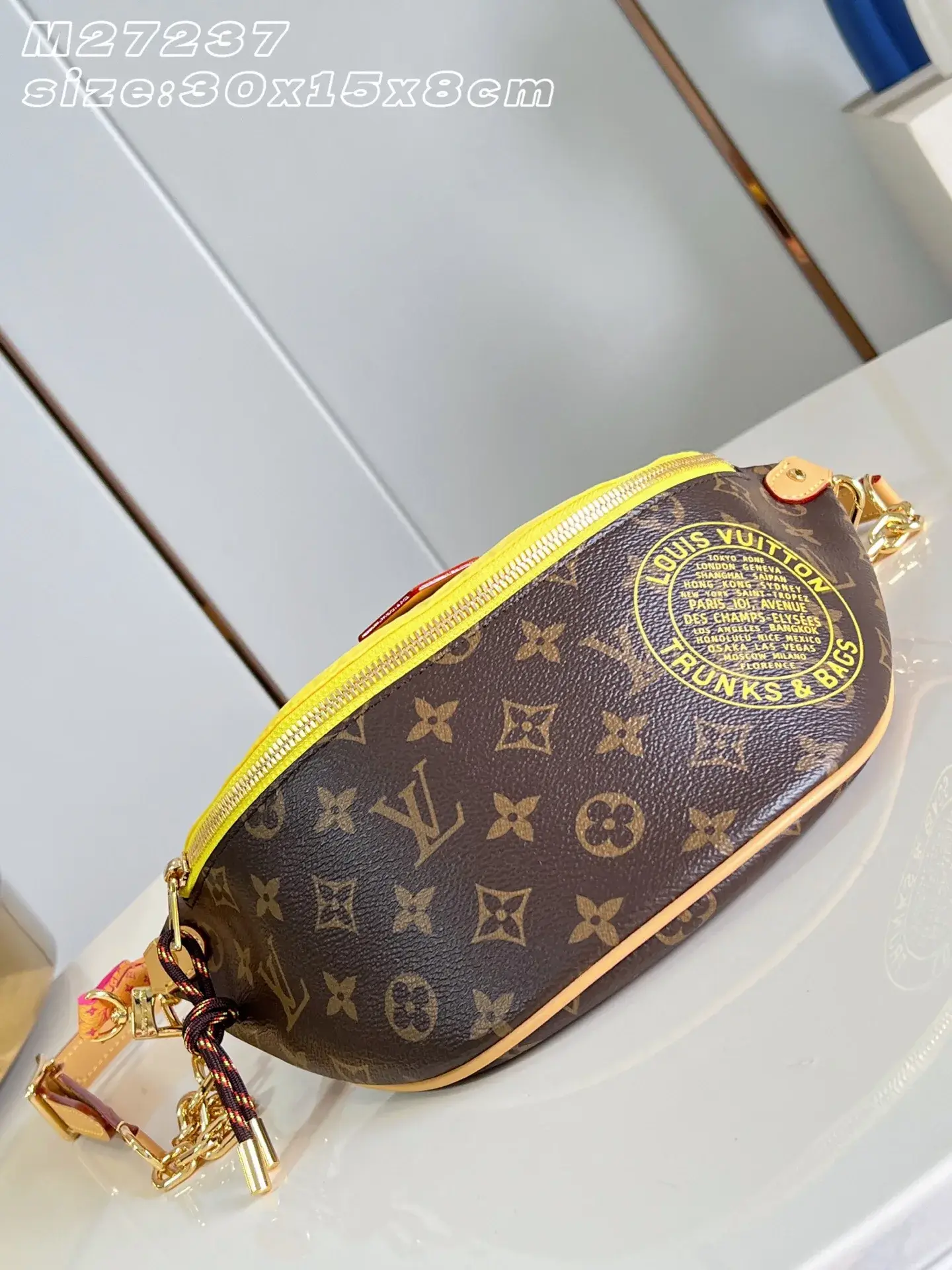 Louis Vuitton Nylon Belt Bag product photo from LabelPicks