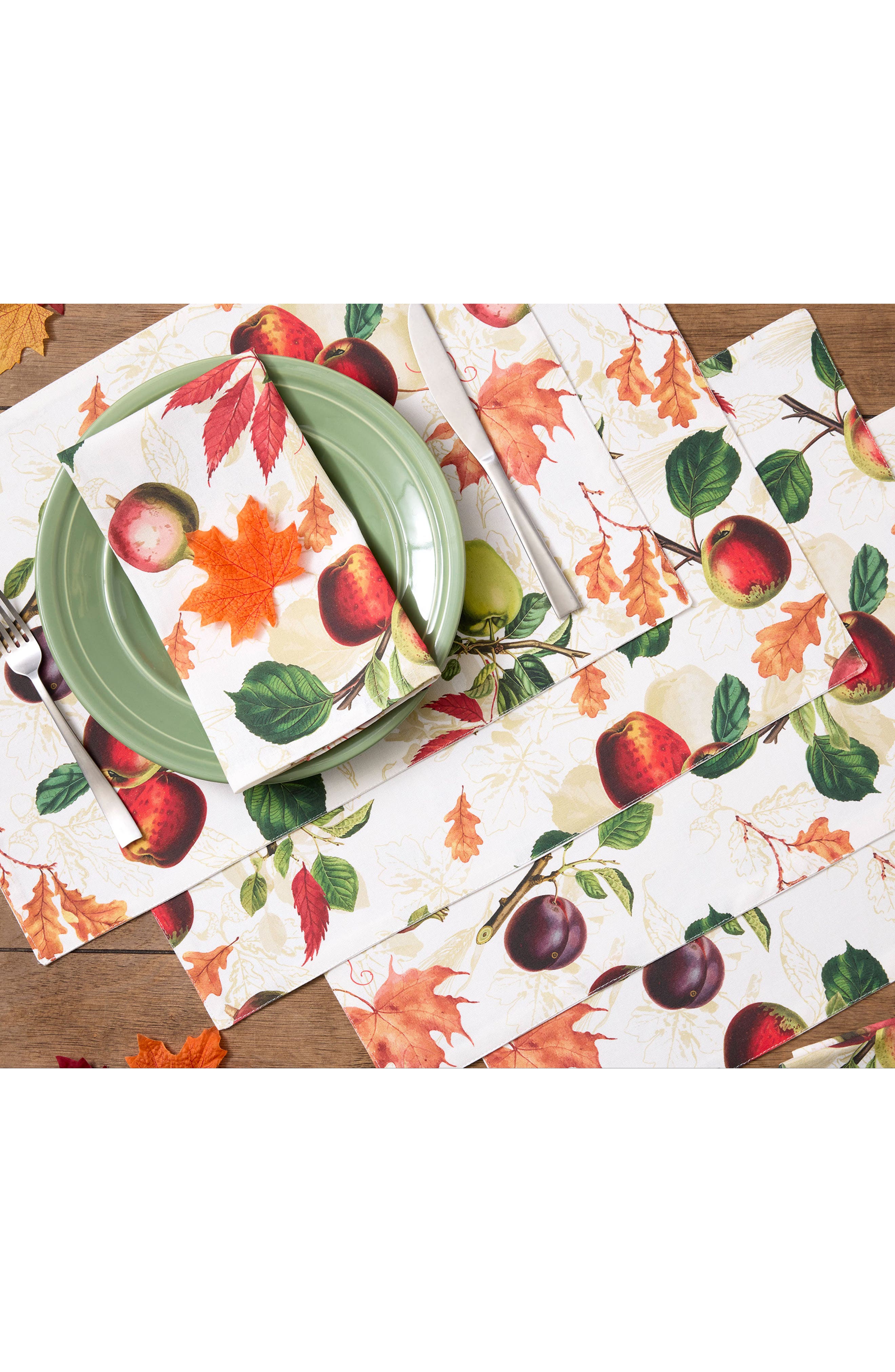 Design Imports Orchard Botanical Set of 4 Placemats