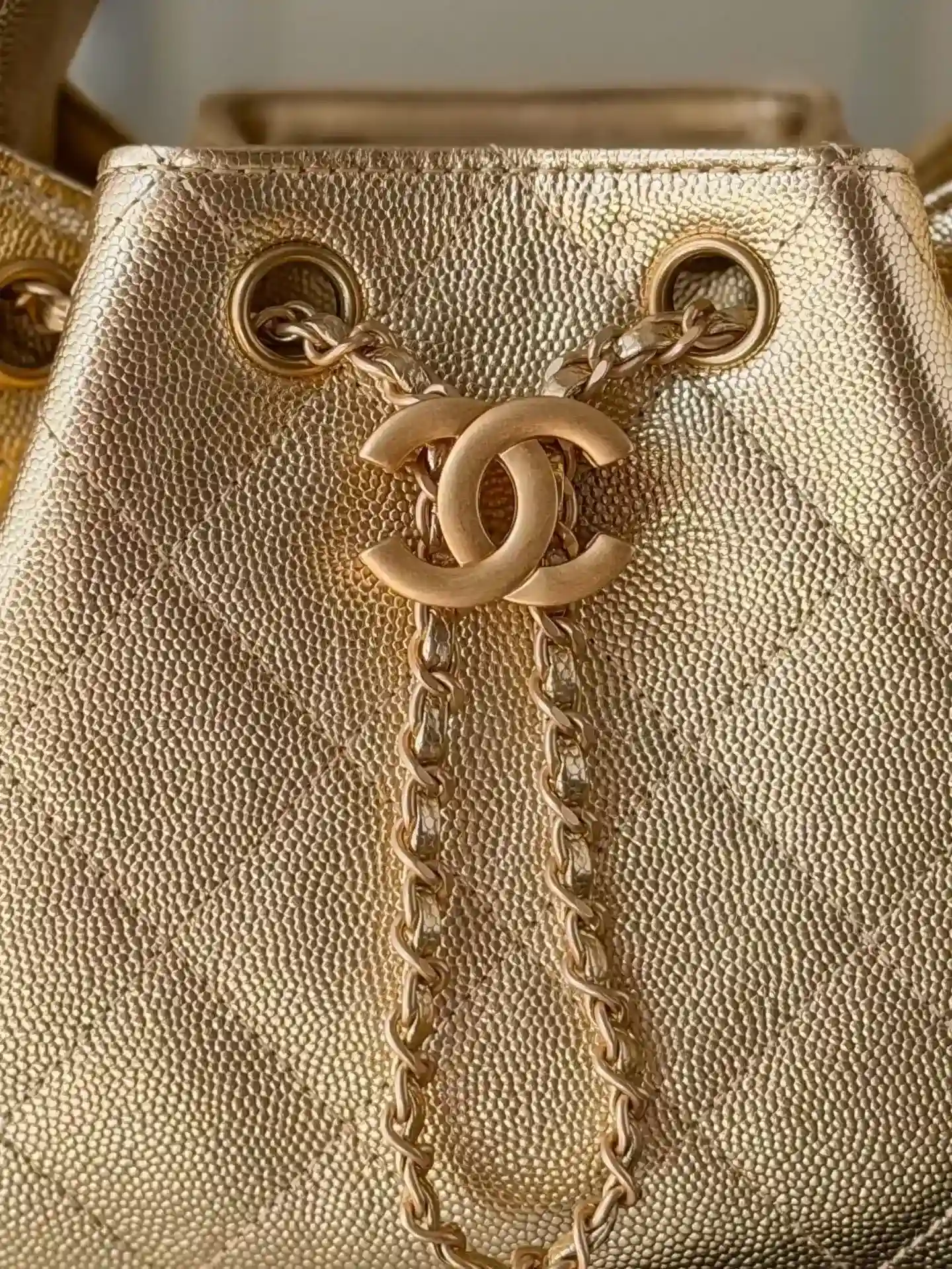 Chanel Calfskin Bucket Bag product photo from LabelPicks