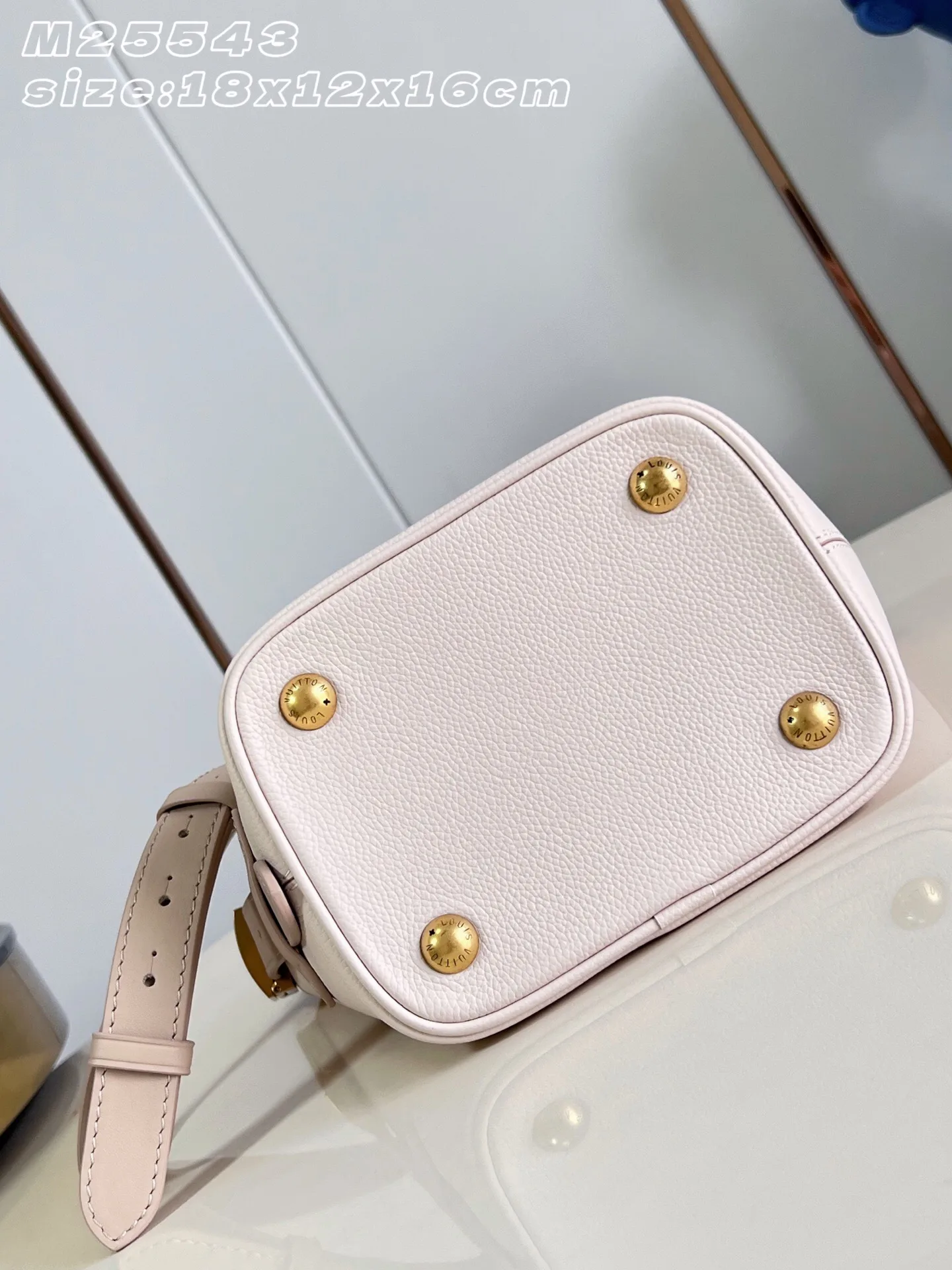 Louis Vuitton Pink Grained Leather Bucket Bag product photo from LabelPicks