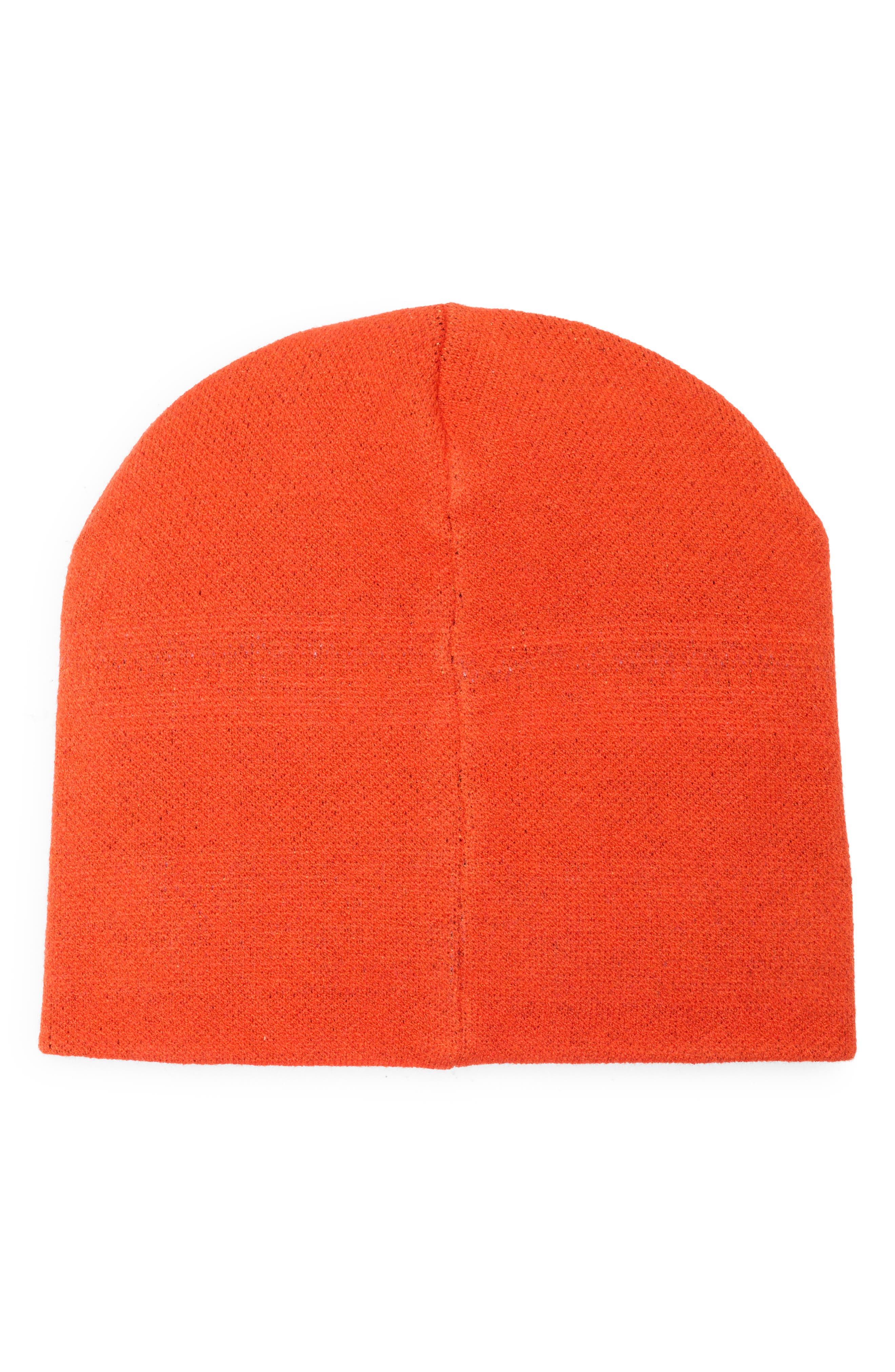 DIET STARTS MONDAY Toon Beanie