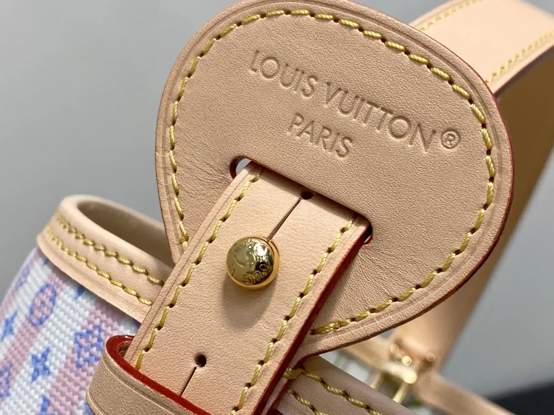 Louis Vuitton Pink Canvas and Leather Bucket Bag product photo from LabelPicks