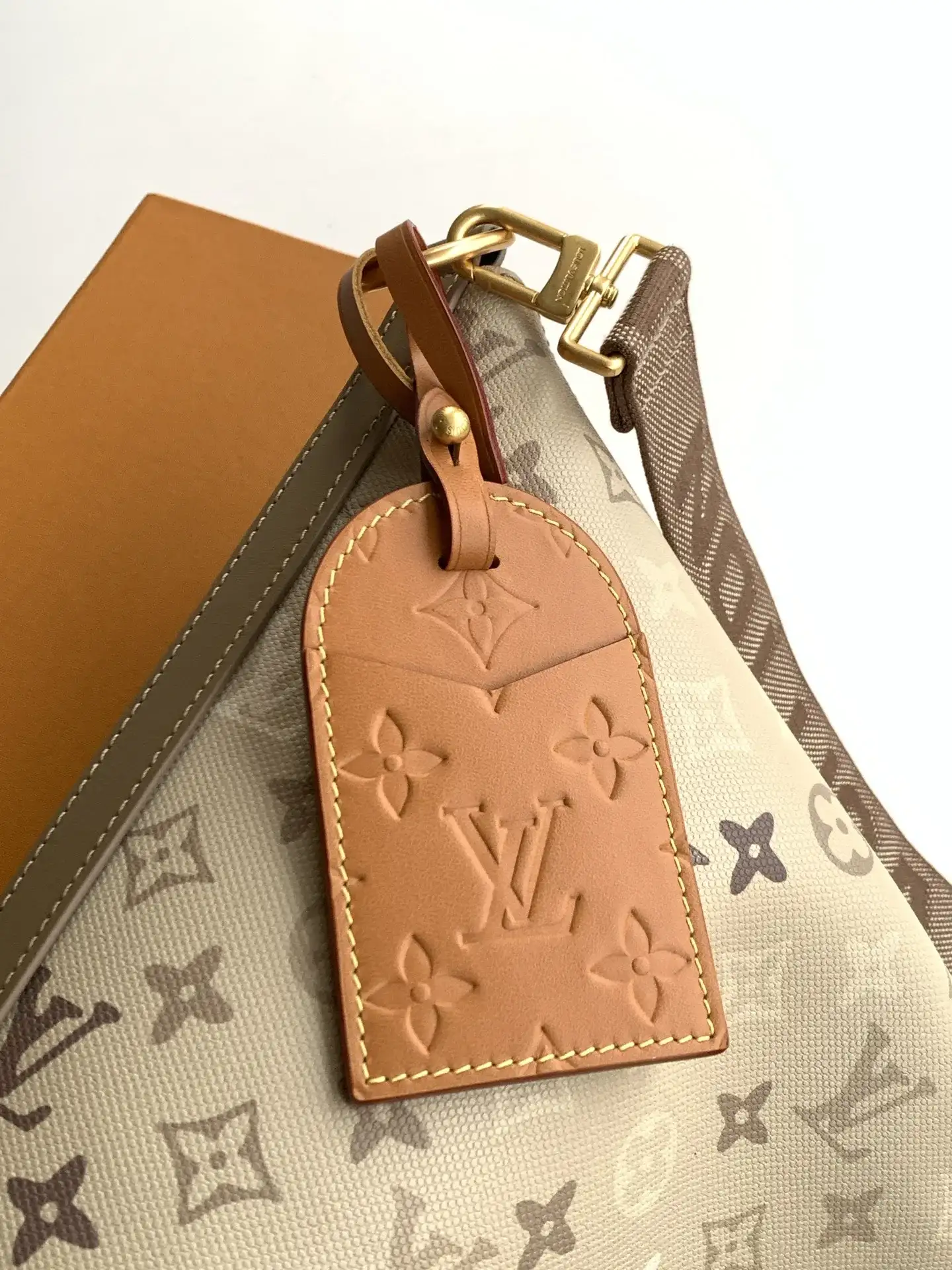 Louis Vuitton Curved Hobo Bag product photo from LabelPicks