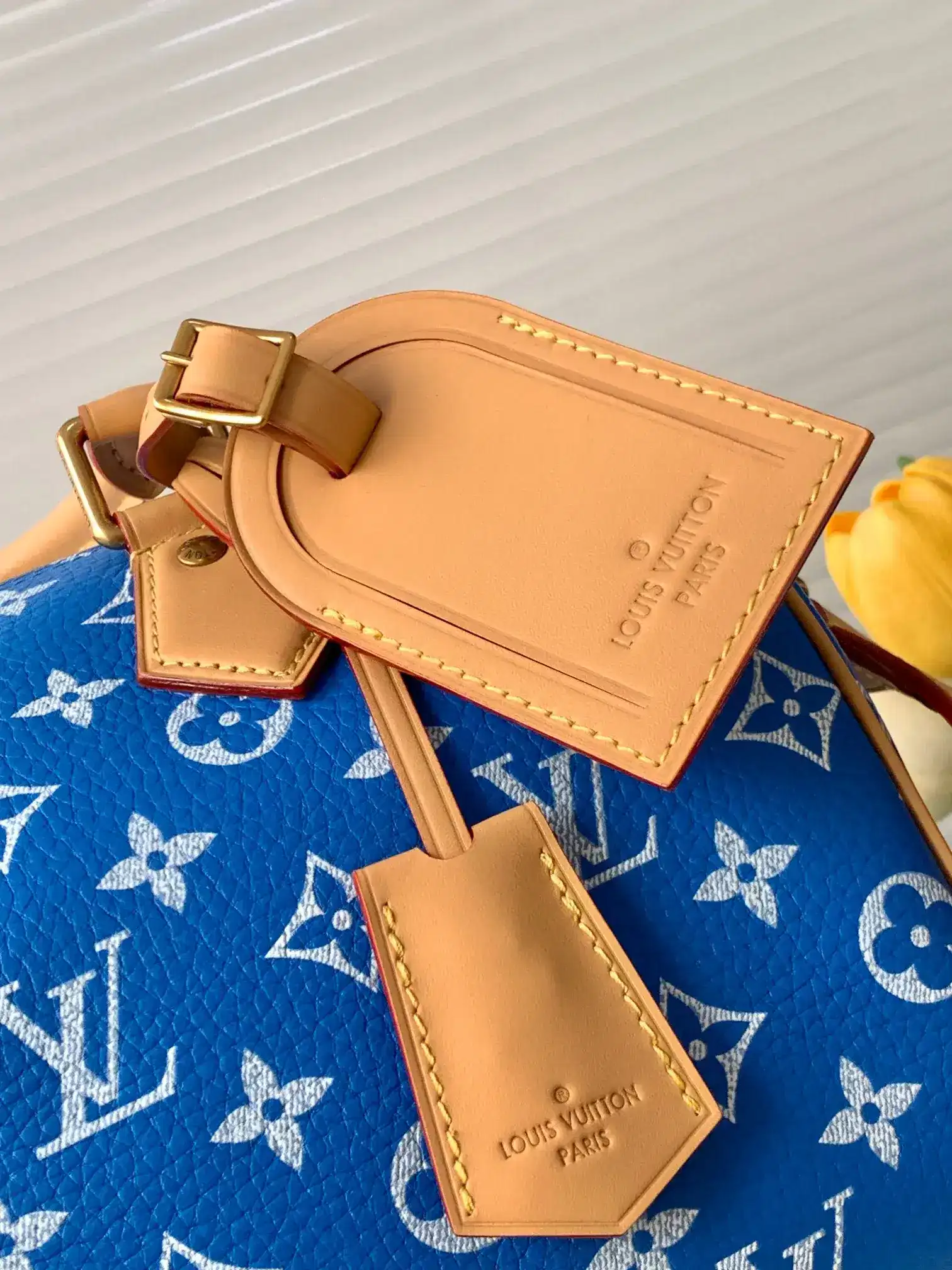 Louis Vuitton Speedy Blue Lambskin Top Handle Bag product photo from LabelPicks