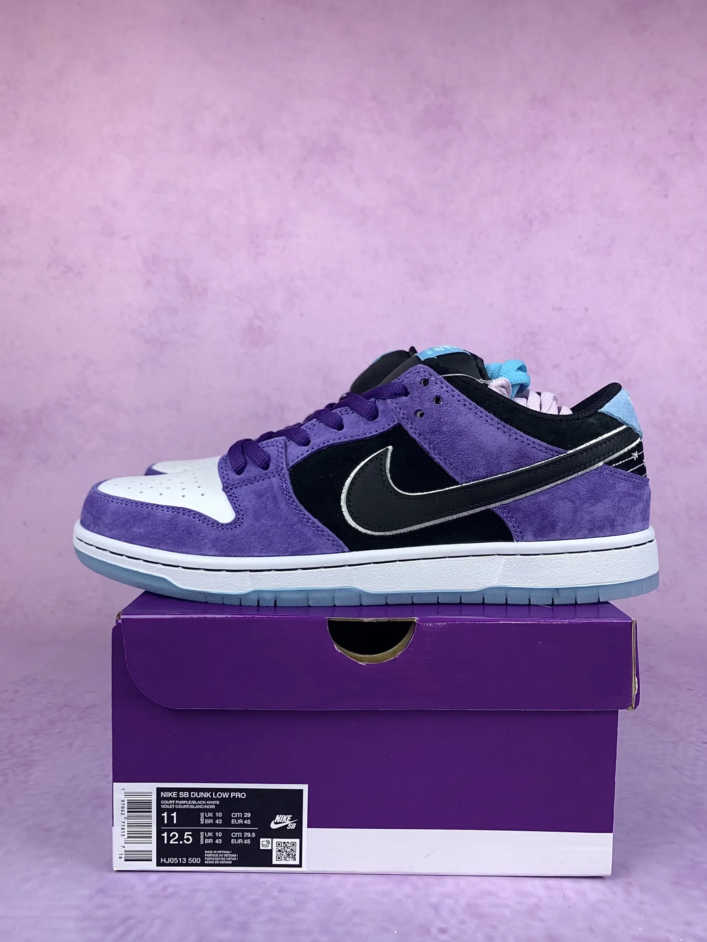Hayley Wilson x Nike SB Dunk Low Pro Shoes product photo from LabelPicks