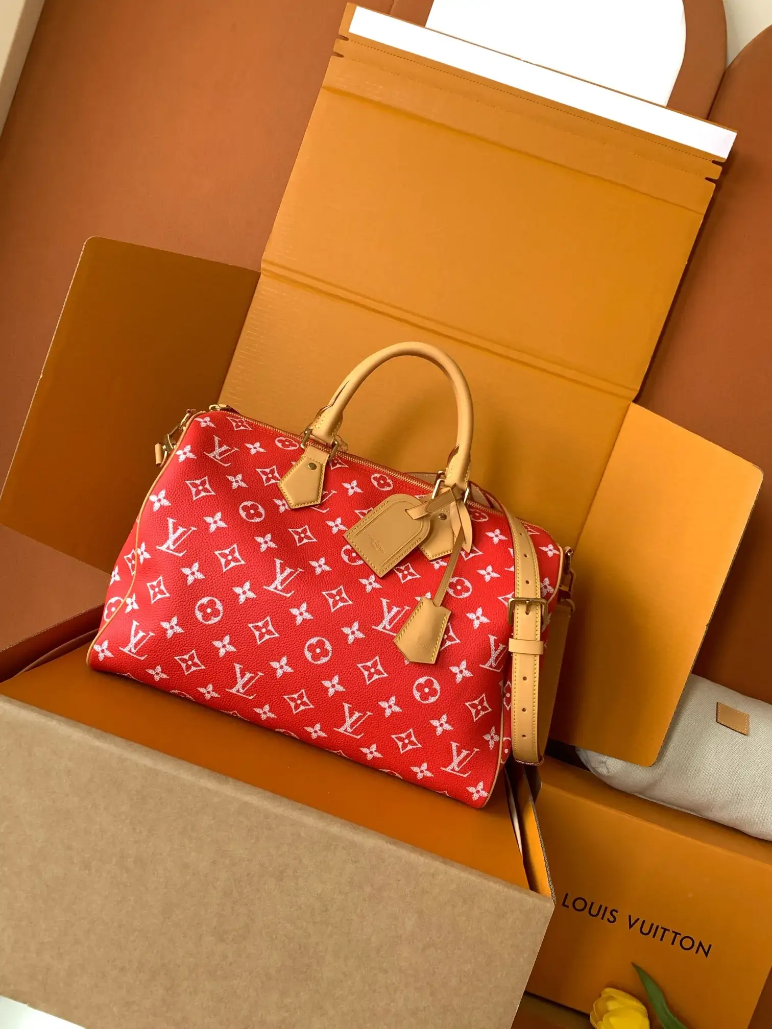Louis Vuitton Grained Leather Top Handle Bag product photo from LabelPicks