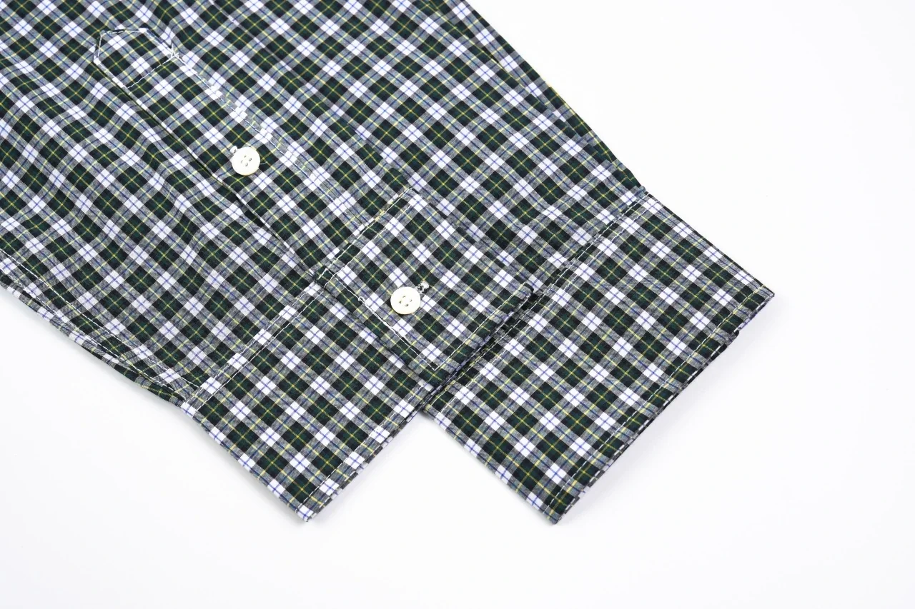 CELINE Green White Plaid Triomphe Embroidered Shirt product photo from LabelPicks