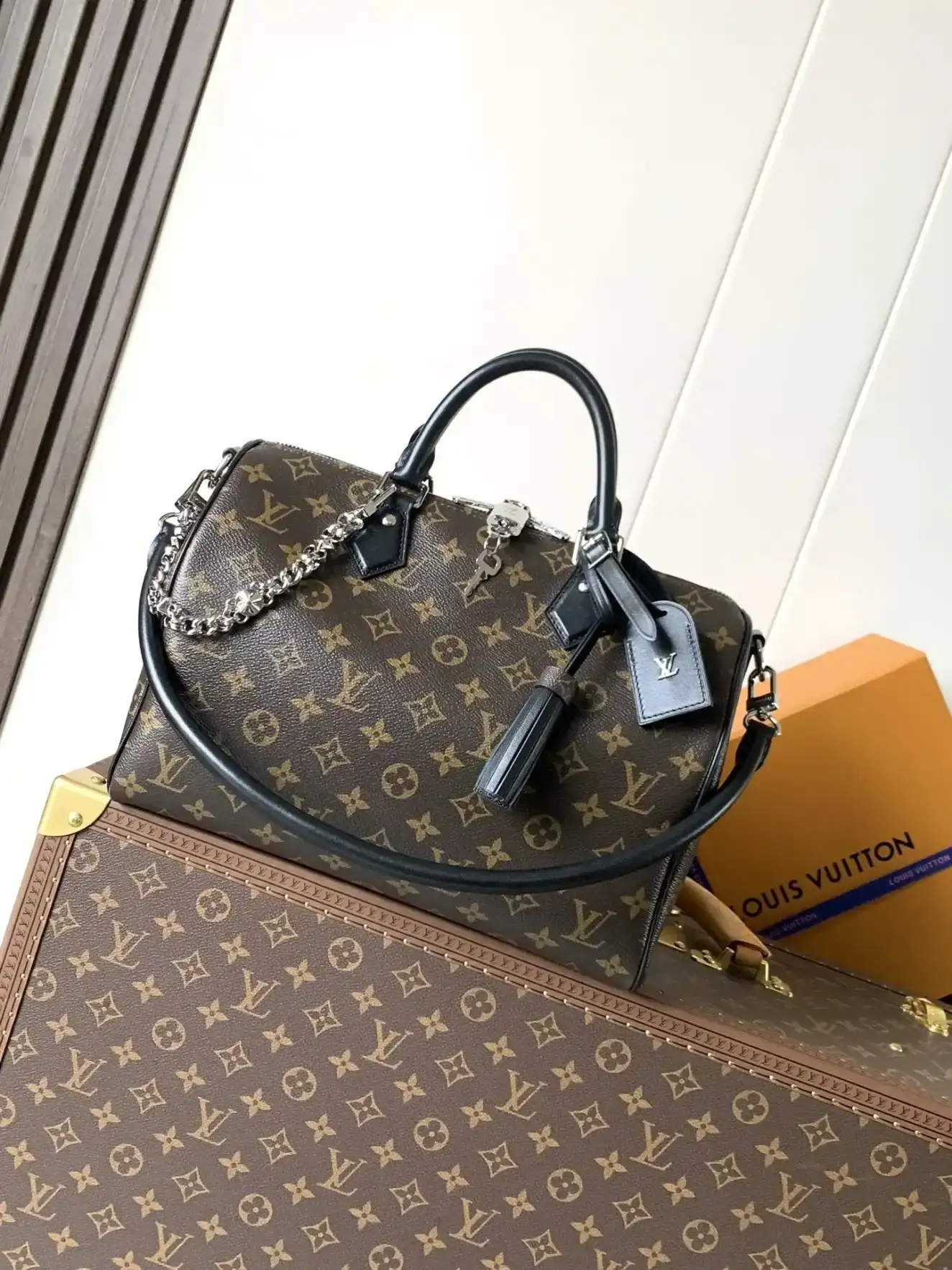 Louis Vuitton Monogram Canvas Speedy Top Handle Bag product photo from LabelPicks