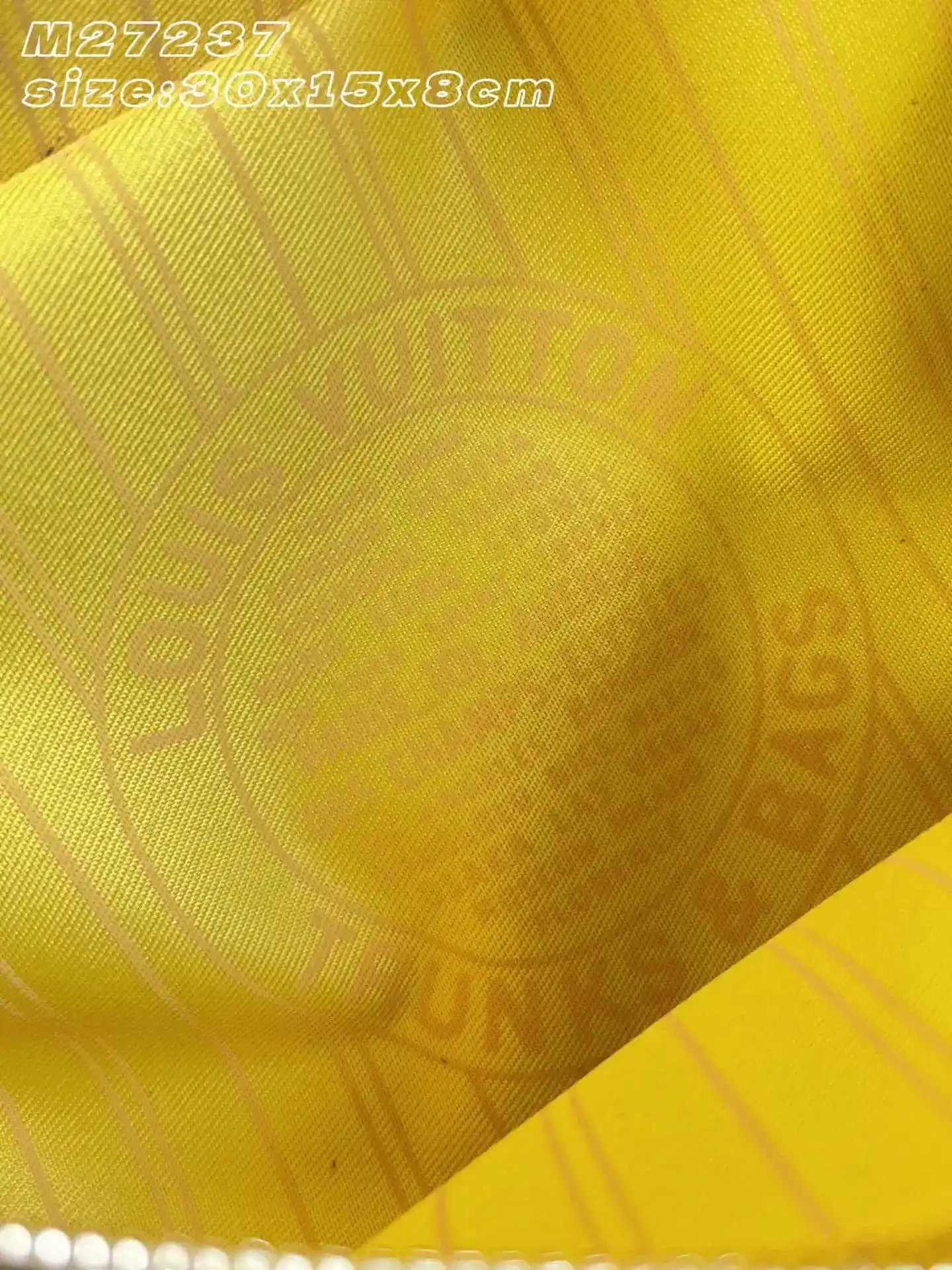 Louis Vuitton Nylon Belt Bag product photo from LabelPicks