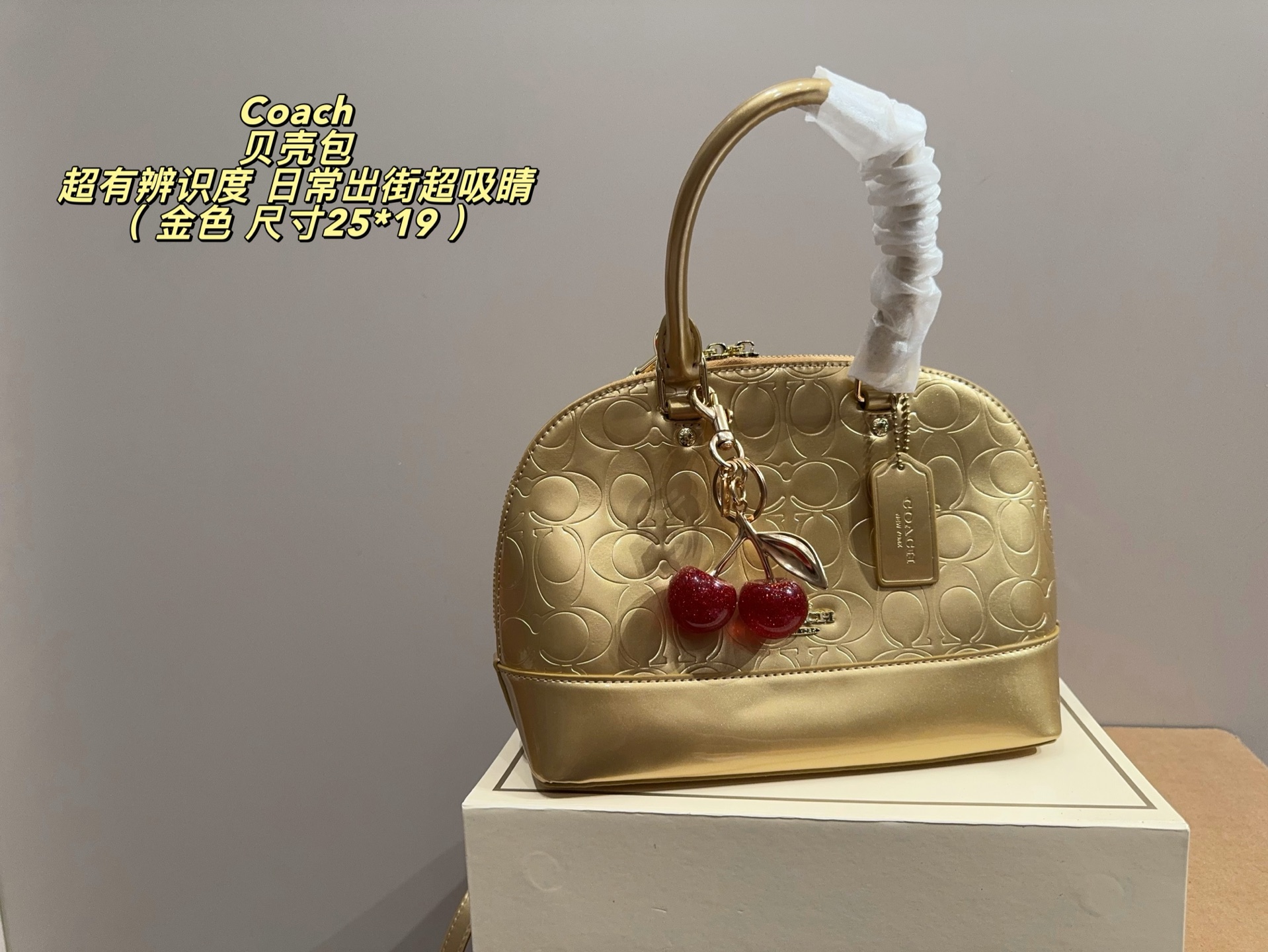 Coach Shell Bag
