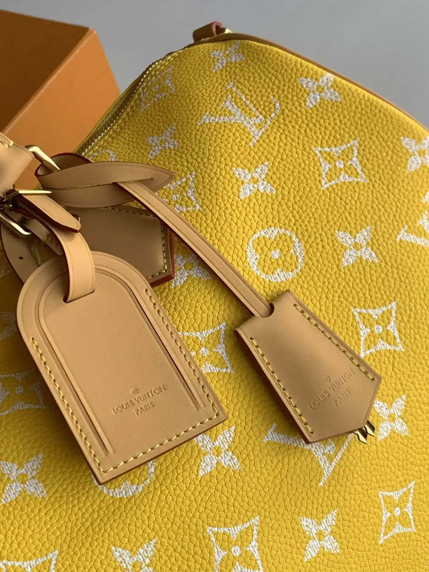 Louis Vuitton Grained Leather Speedy Top Handle Bag product photo from LabelPicks