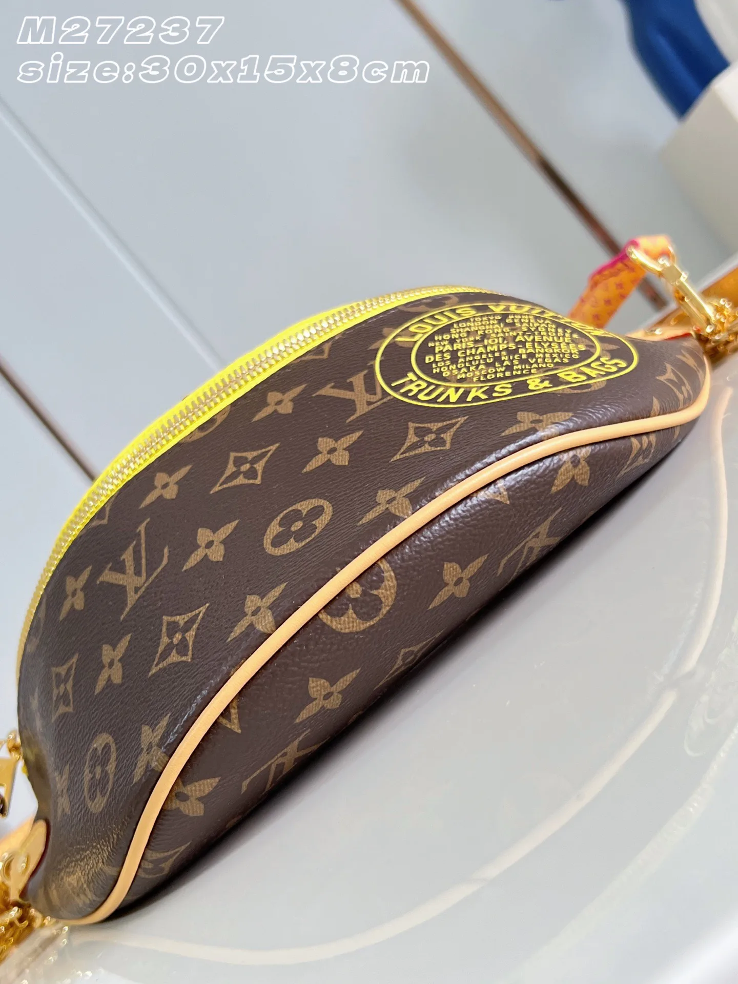 Louis Vuitton Nylon Belt Bag product photo from LabelPicks
