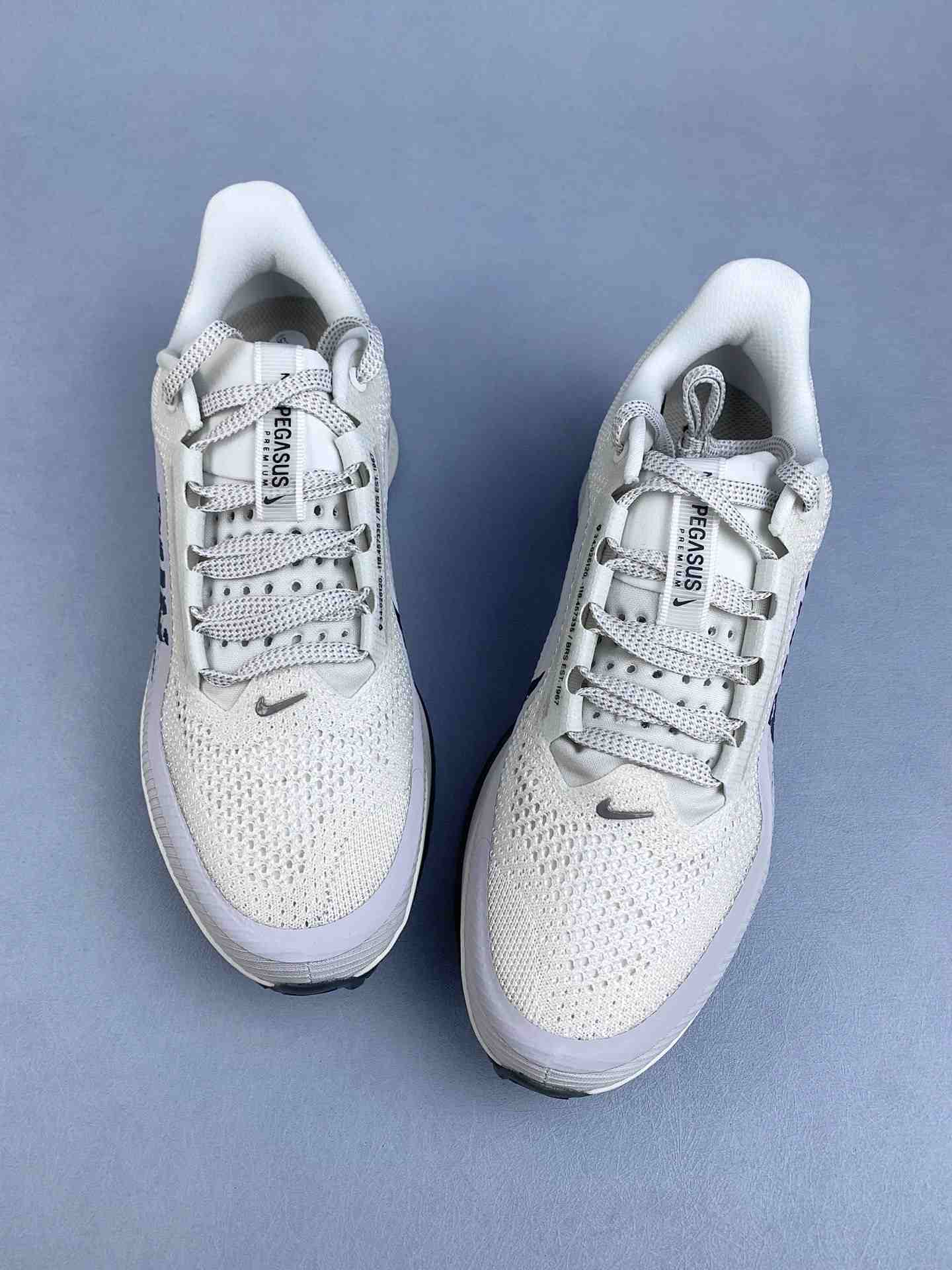 Nike Pegasus Premium Shoes
