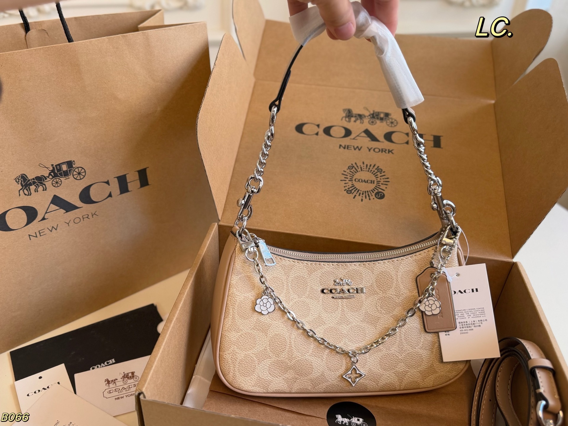COACH's new Teri underarm bag