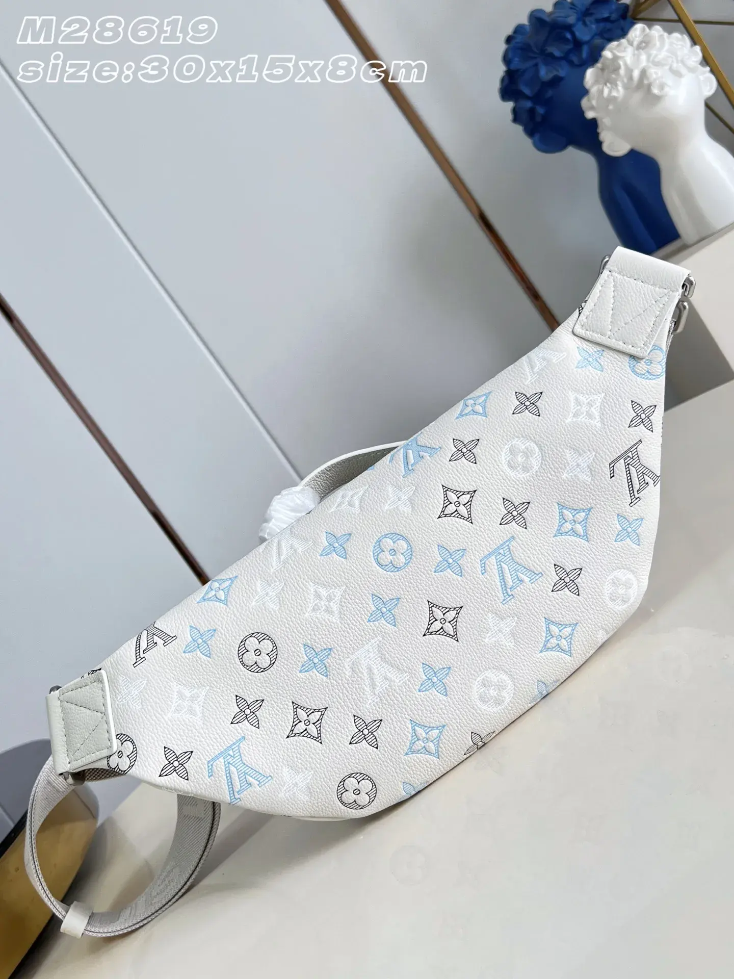 Louis Vuitton Calfskin Belt Bag product photo from LabelPicks