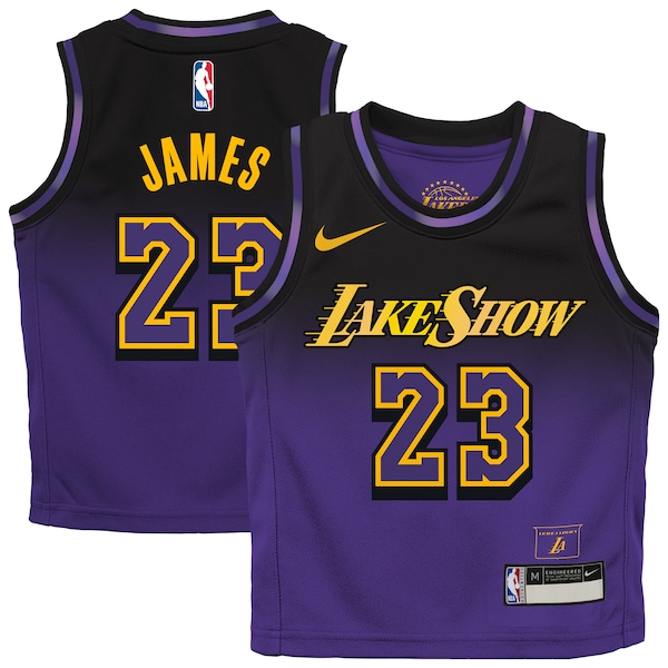 LeBron James Los Angeles Lakers Nike Preschool 2024/25 Swingman Player Jersey -  City Edition - Purple
