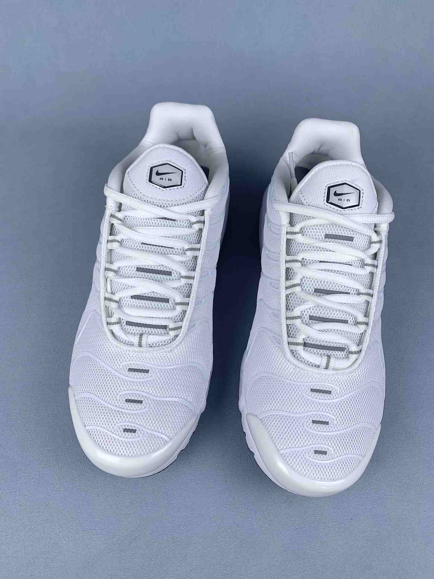 Nike Air Max Plus Shoes