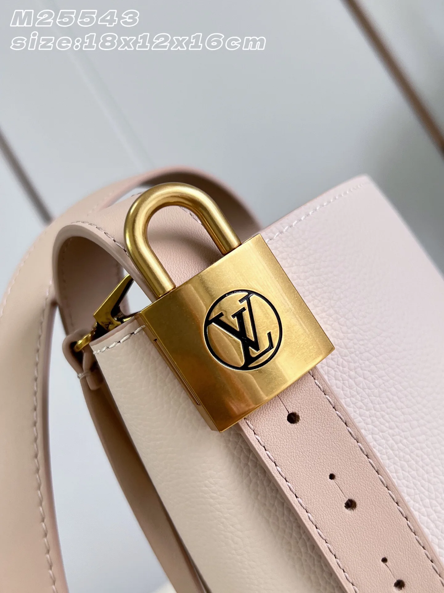 Louis Vuitton Pink Grained Leather Bucket Bag product photo from LabelPicks