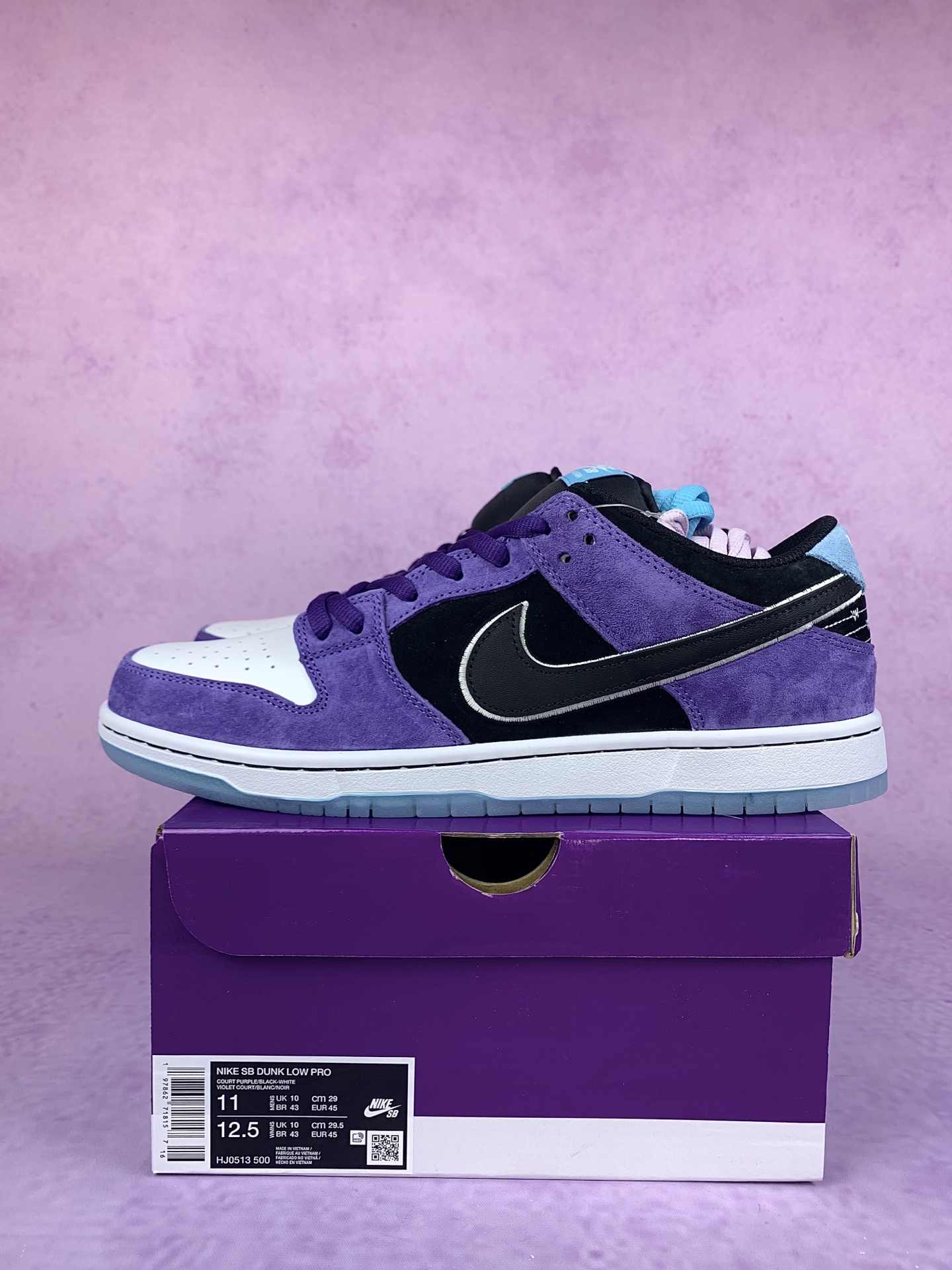 Hayley Wilson x Nike SB Dunk Low Pro Shoes