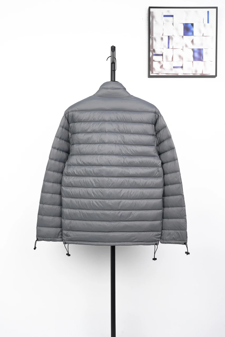 Miu Miu Matte Grey Logo Embroidered Stand Collar Down Jacket product photo from LabelPicks