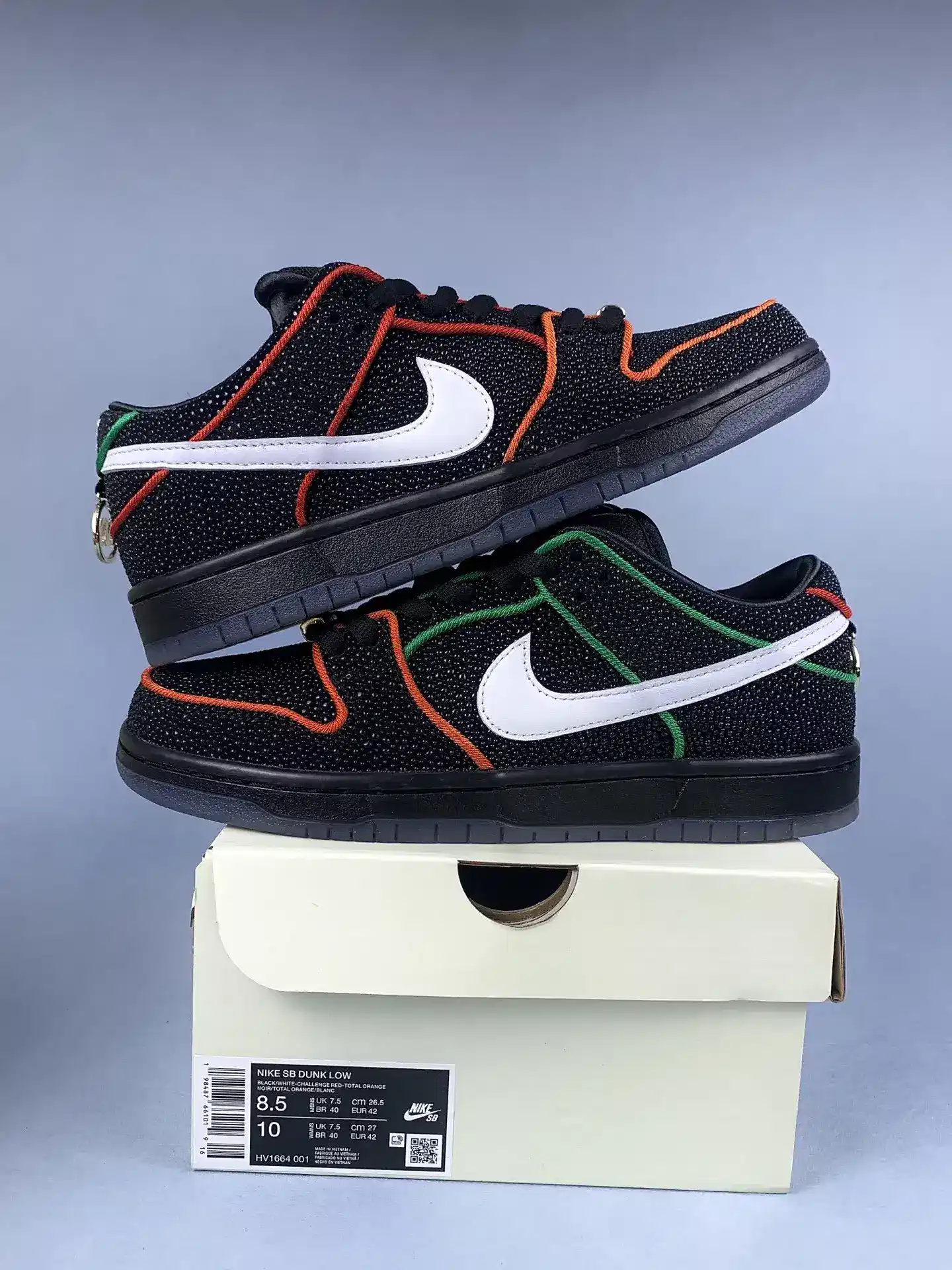 Bronx Girls Skate x Nike SB Dunk Low Pro Shoes product photo from LabelPicks