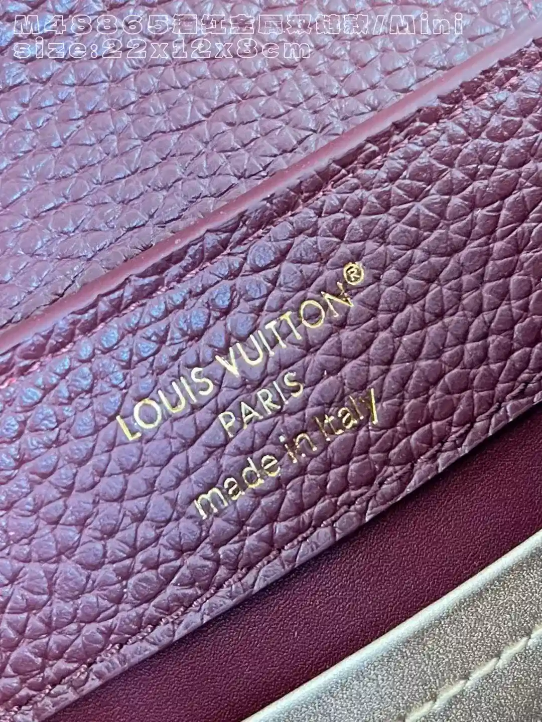 Louis Vuitton Capucines Burgundy Calfskin Crossbody Bag product photo from LabelPicks