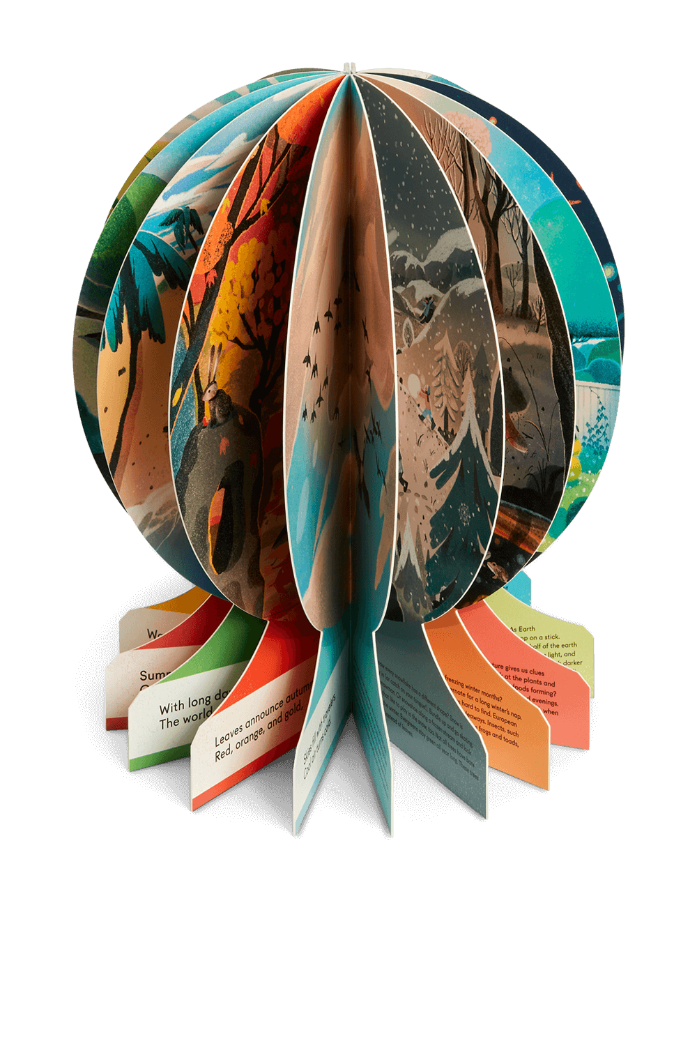 PHAIDON Our Seasons גילאי 2-5.