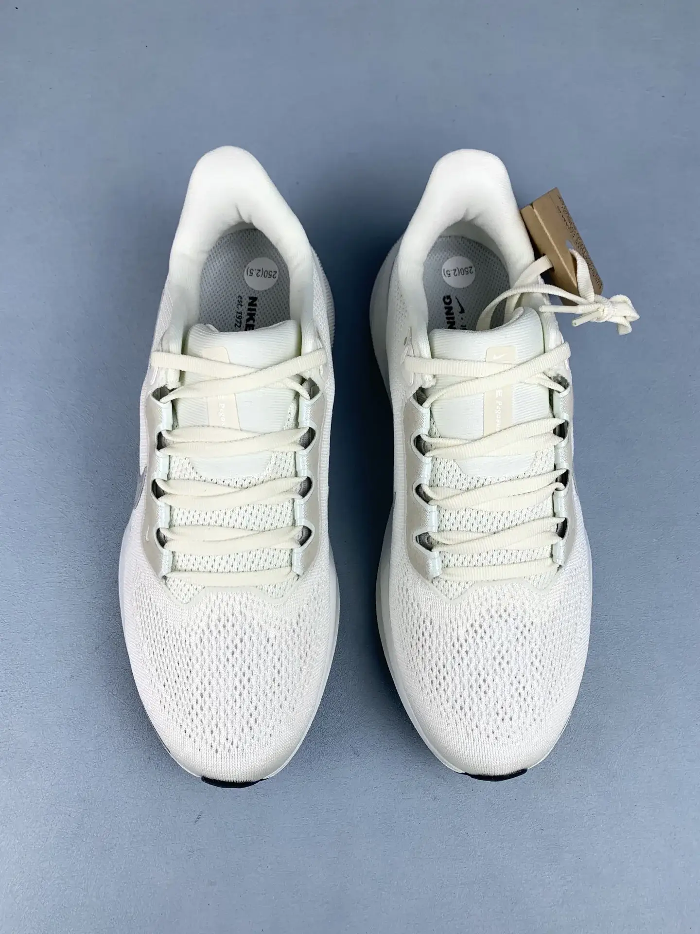 Nike Pegasus 41 Premium Shoes product photo from LabelPicks