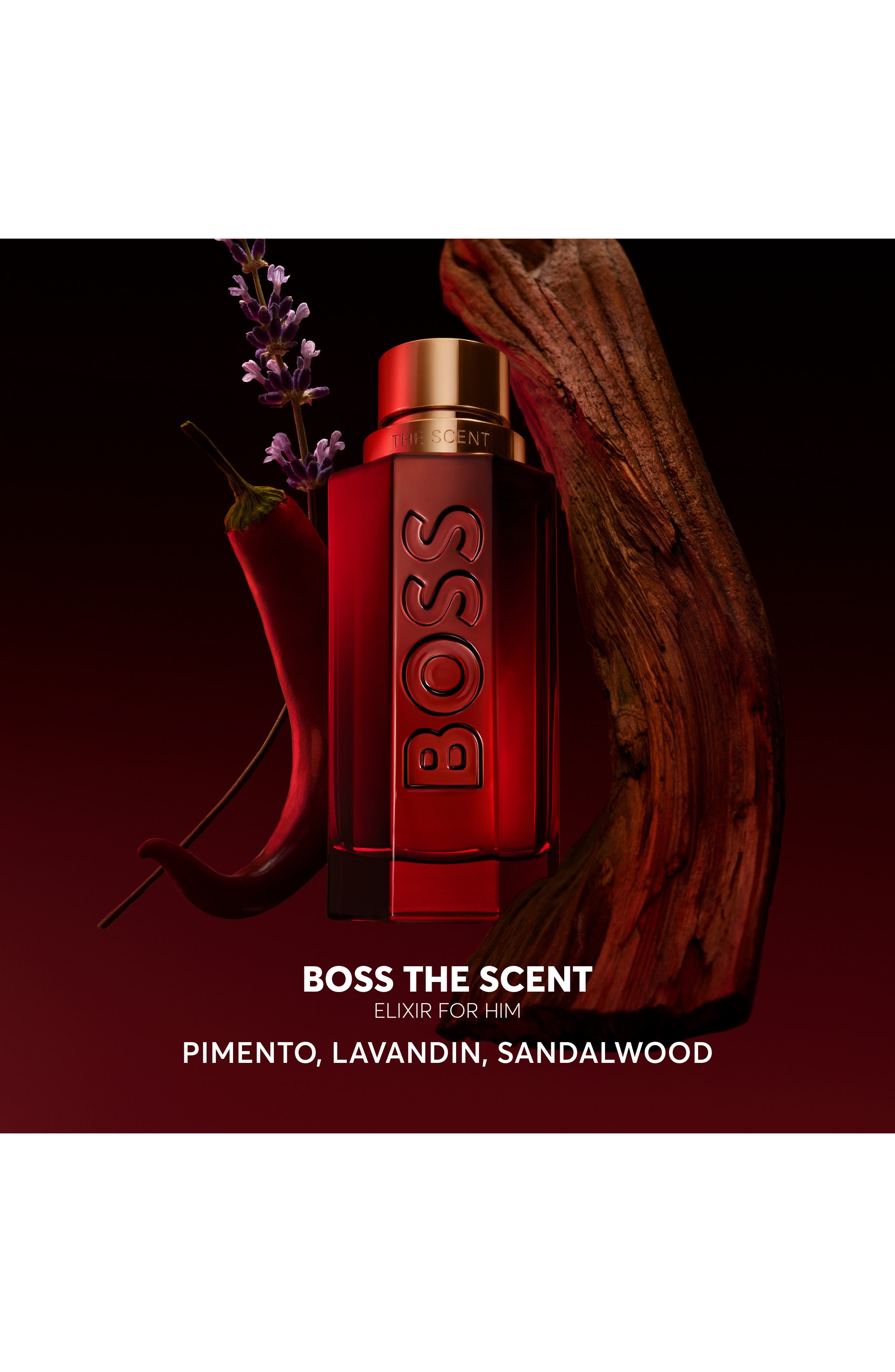BOSS The Scent Elixir Parfum Intense for Him