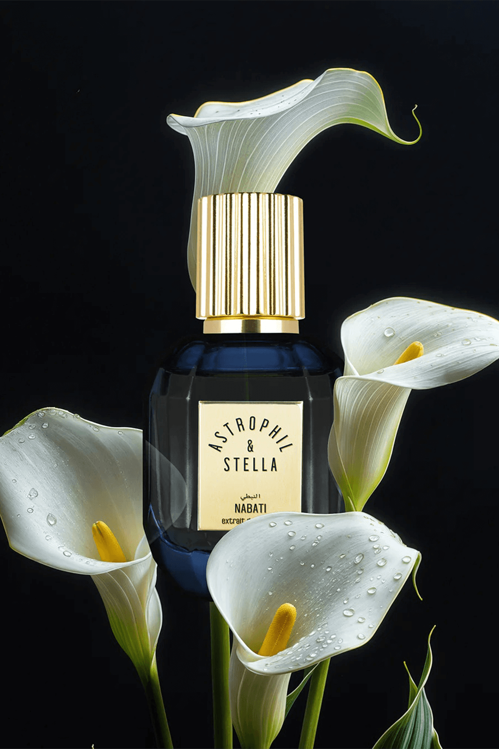 ASTROPHIL AND STELLA Nabati Ex. Parfum 50 ml Astrophil X Stella