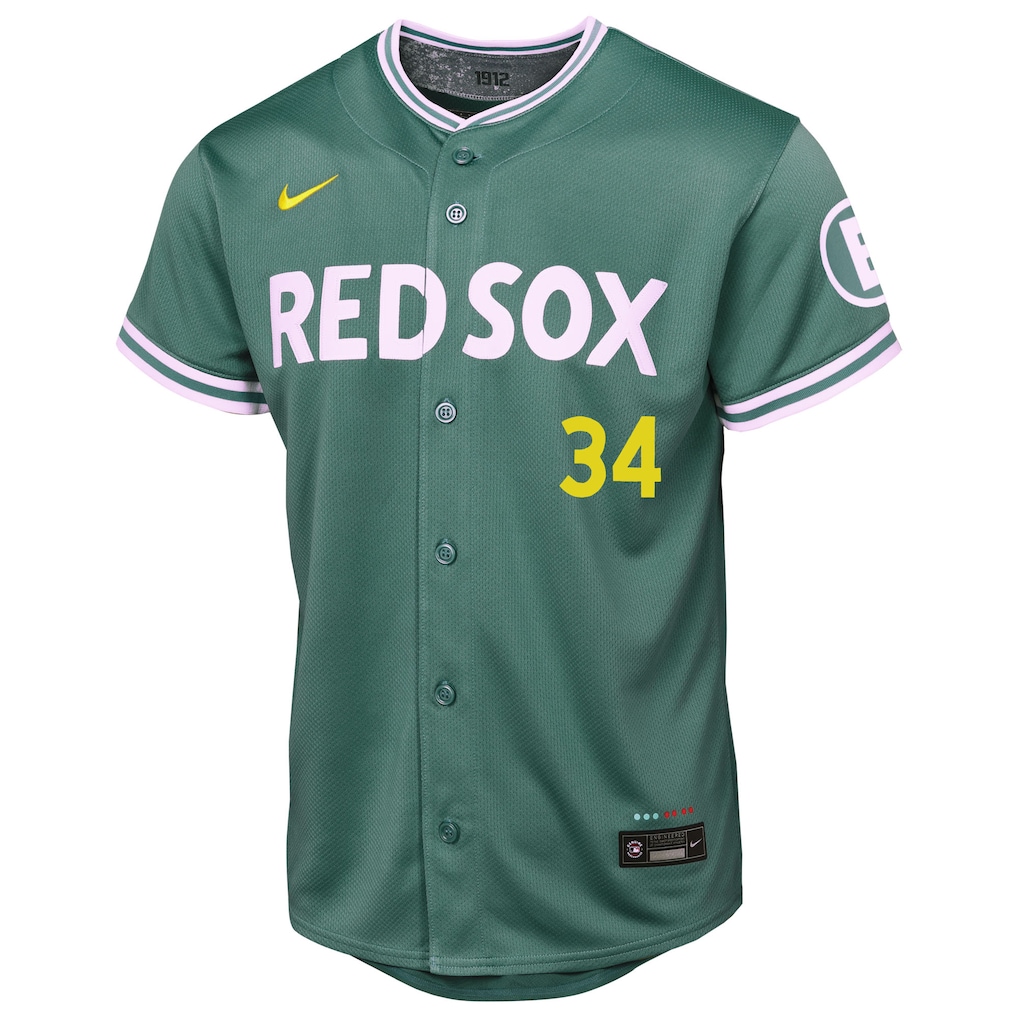 David Ortiz Boston Red Sox Nike Youth 2025 City Connect Limited Retired Player Jersey - Green