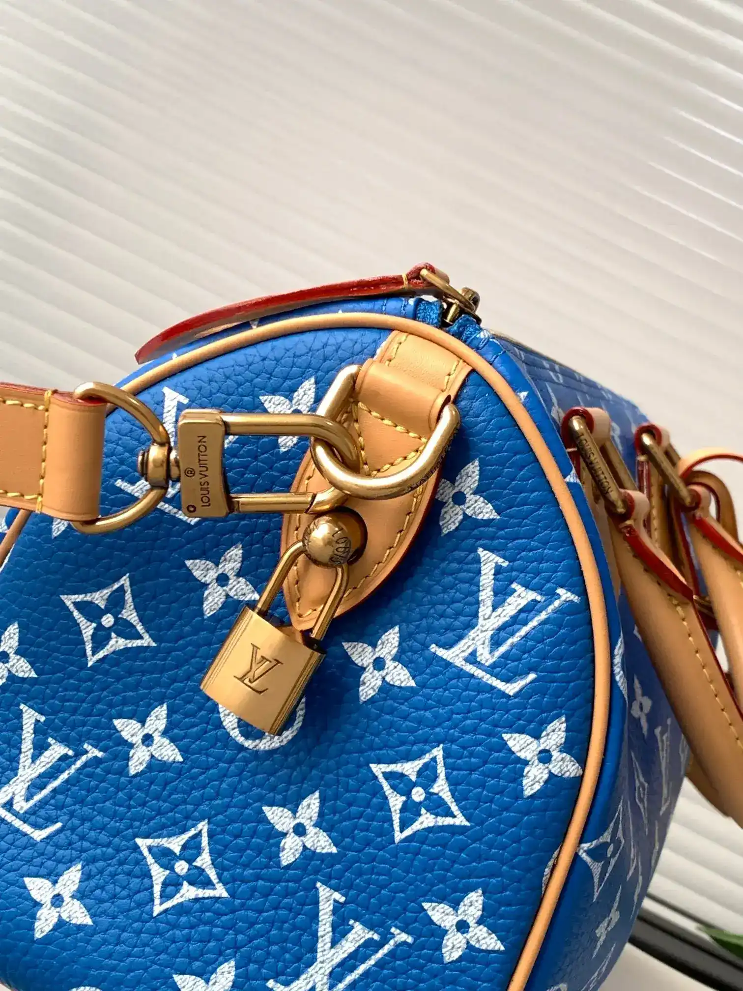 Louis Vuitton Speedy Blue Lambskin Top Handle Bag product photo from LabelPicks