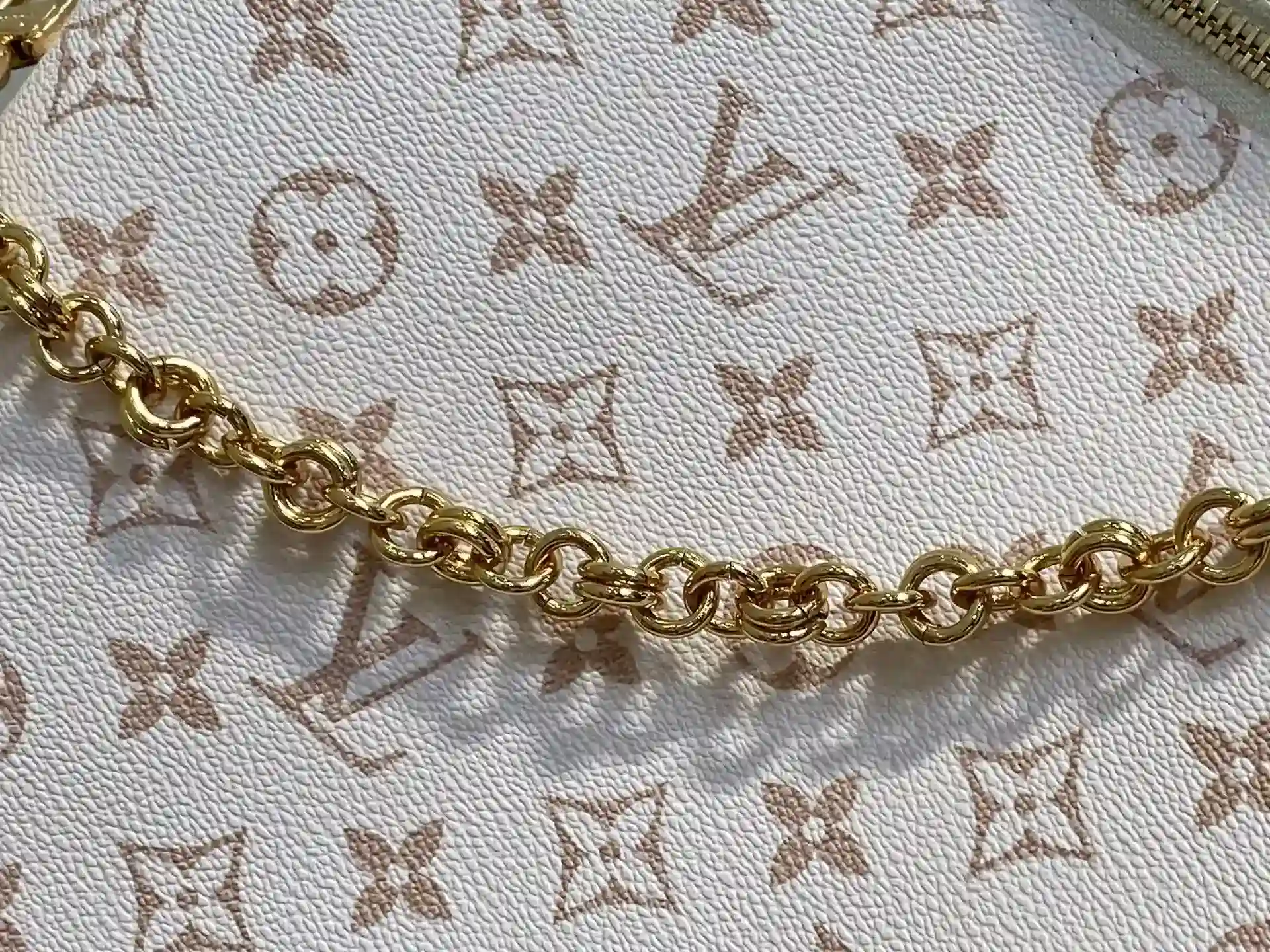 Louis Vuitton Canvas and Leather Shoulder Bag product photo from LabelPicks