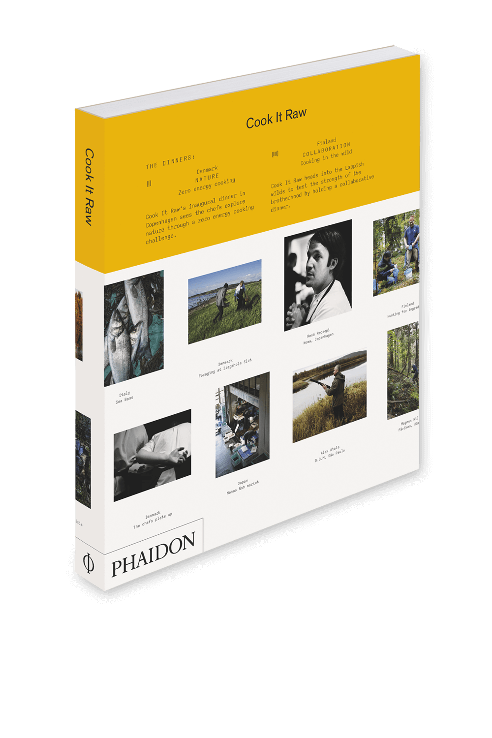 PHAIDON Cook it Raw