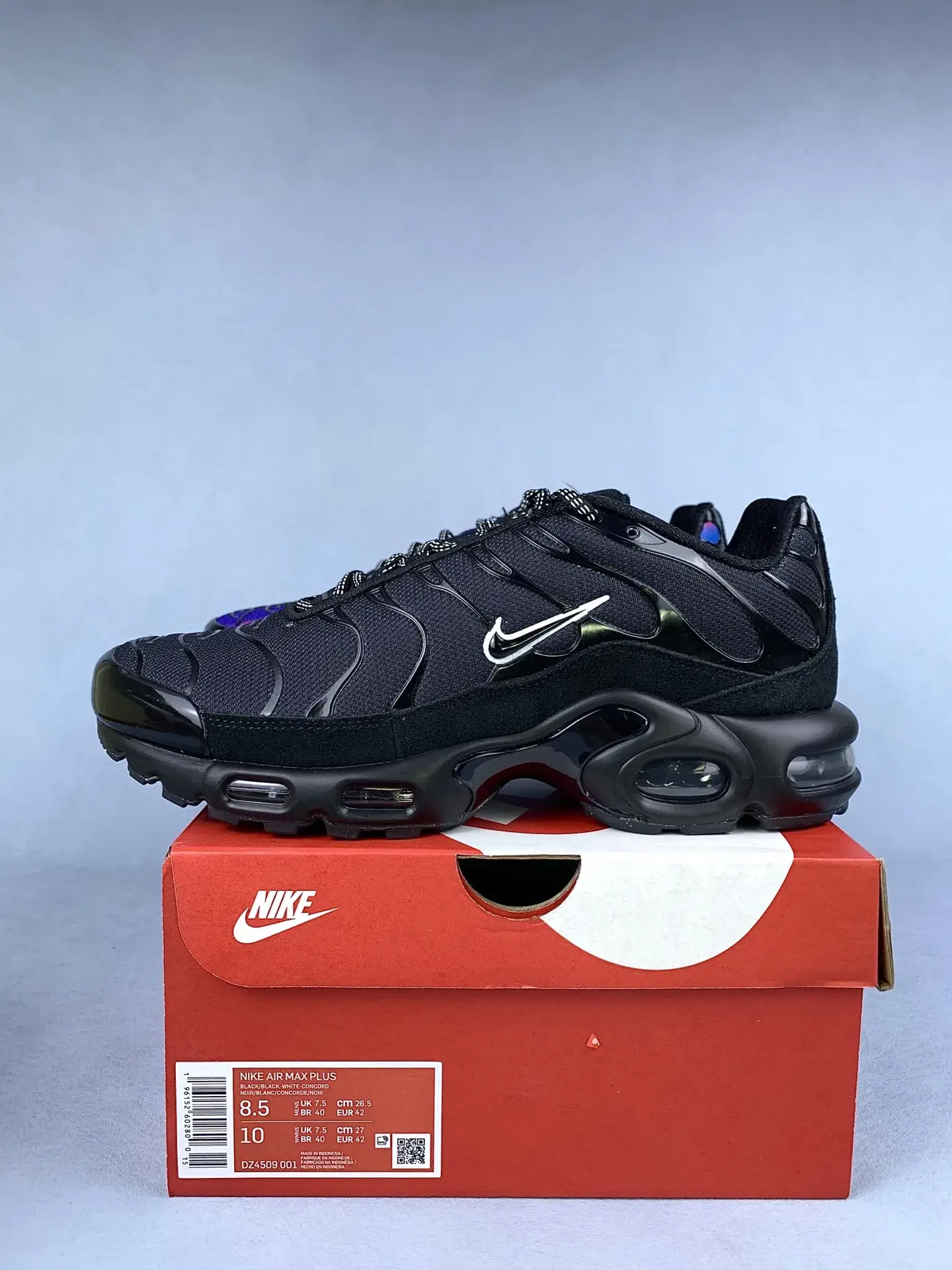 Nike Air Max Plus 'Unity' Shoes product photo from LabelPicks