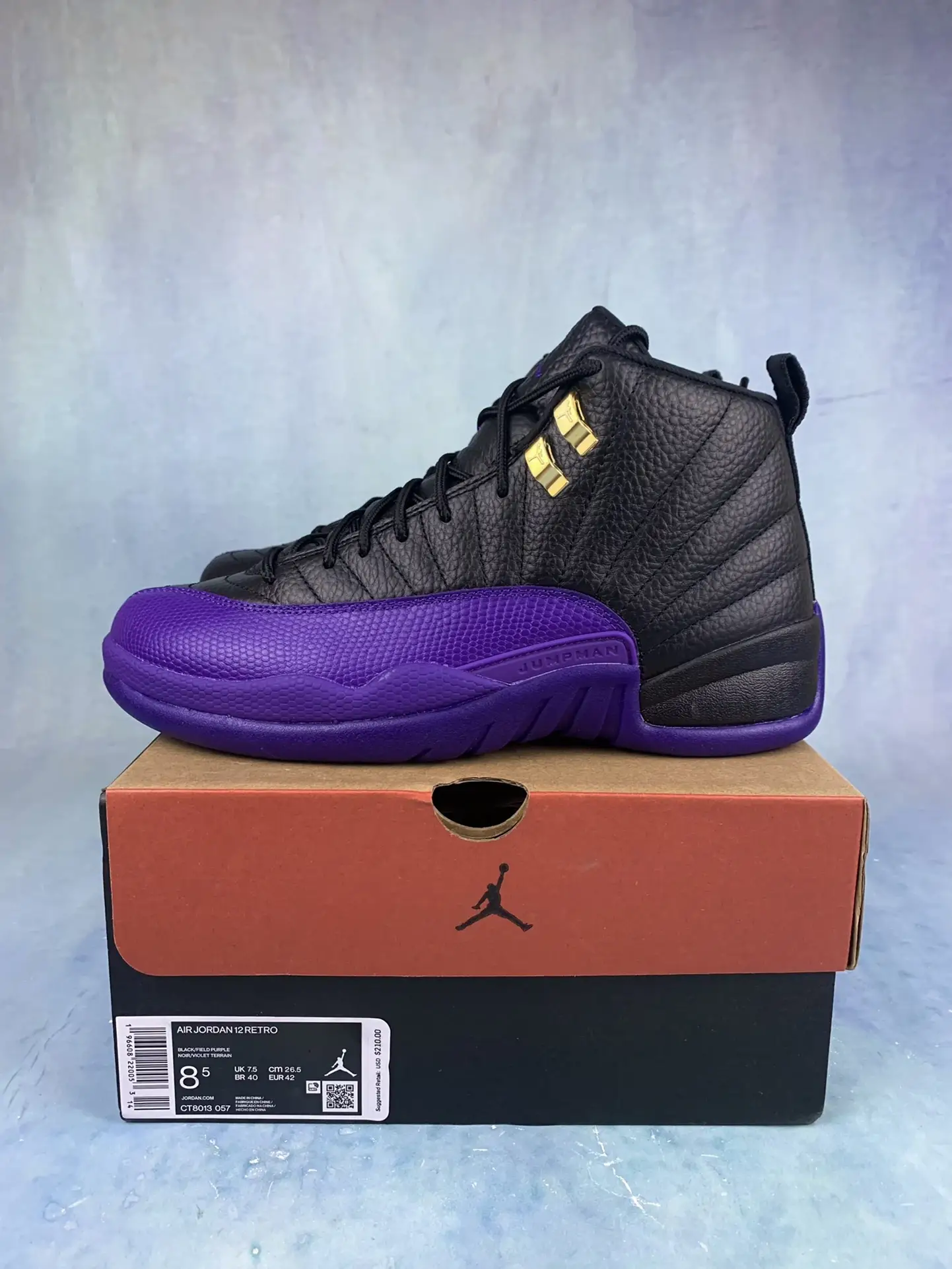 Air Jordan 12 Retro 
