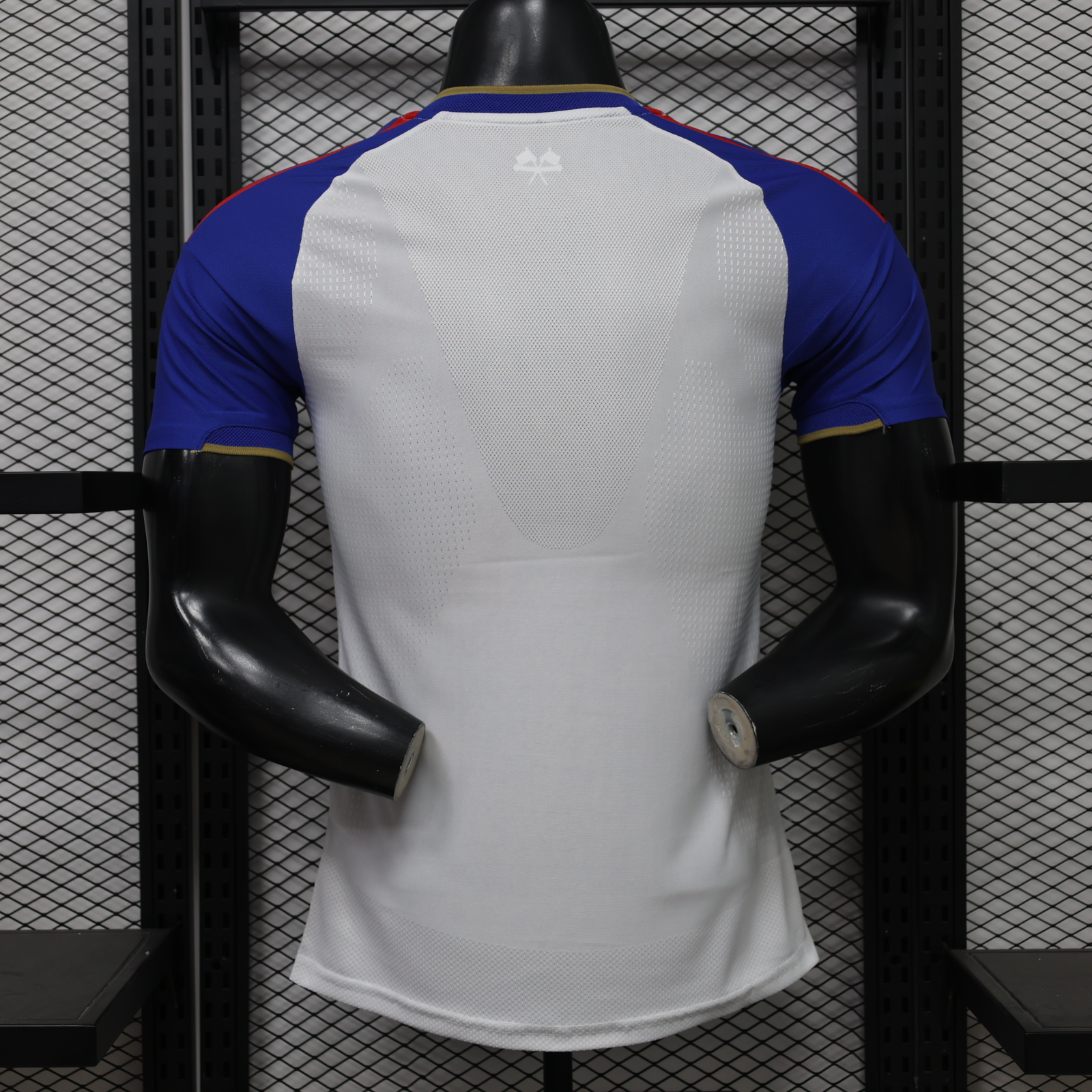 Lyon Home Jersey Player Version 26/27