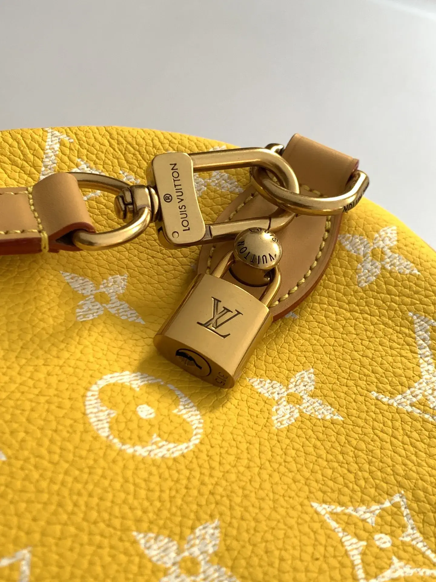 Louis Vuitton Grained Leather Speedy Top Handle Bag product photo from LabelPicks