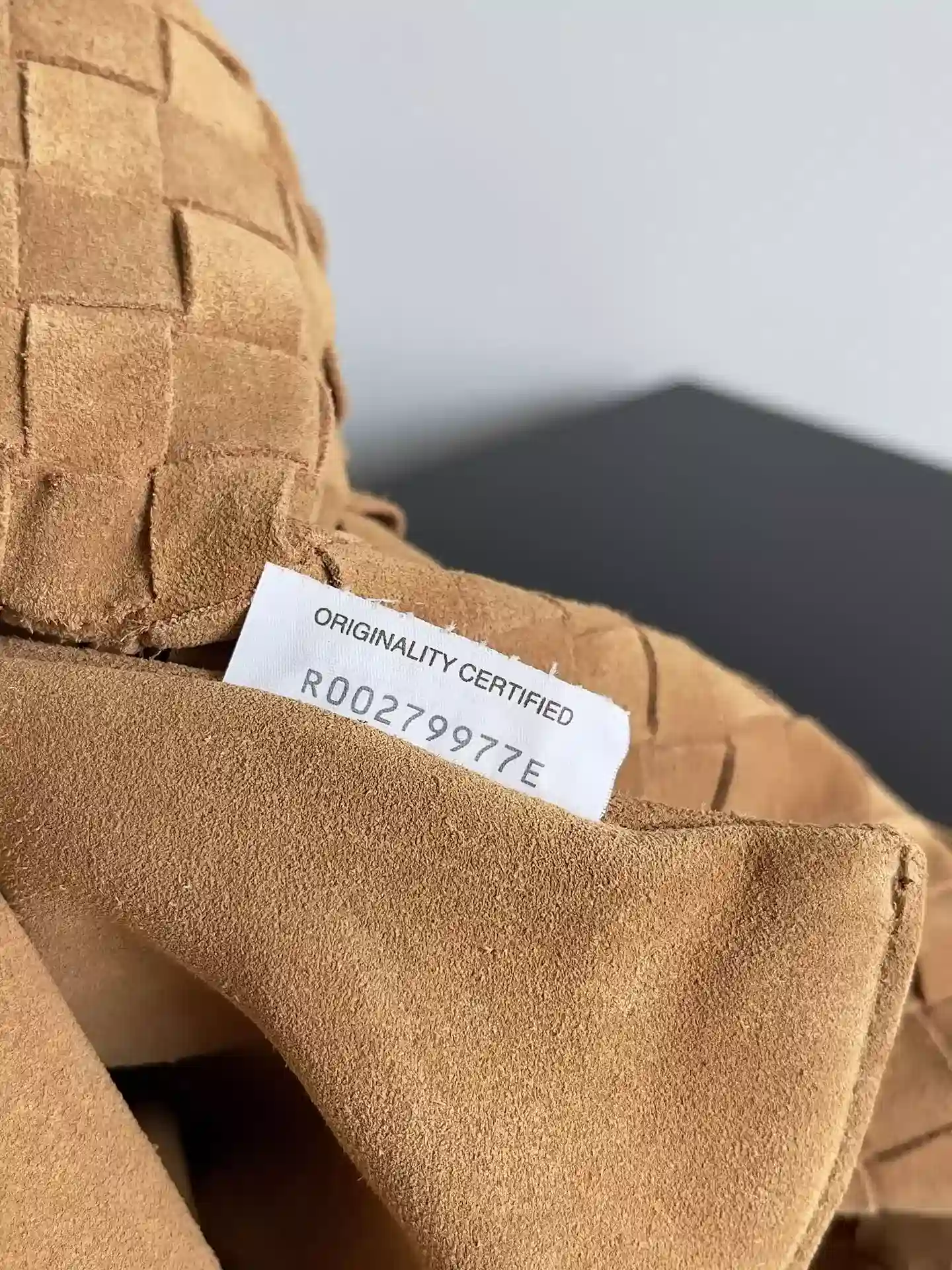 Bottega Veneta Curved Hobo Bag product photo from LabelPicks