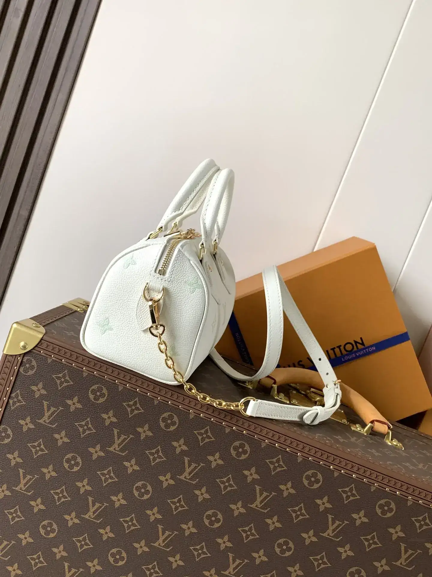 Louis Vuitton Speedy White Calfskin Top Handle Bag product photo from LabelPicks