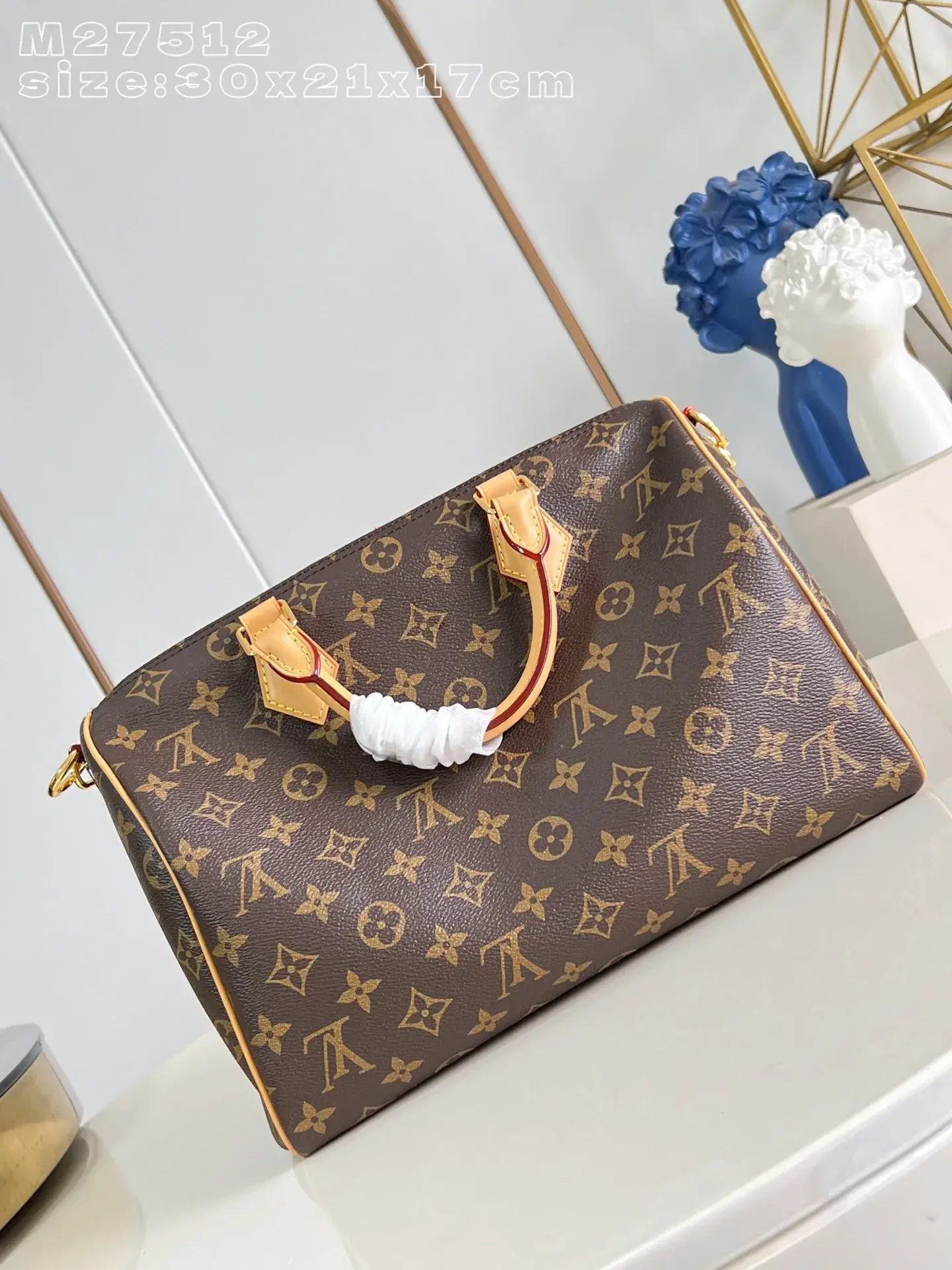 Louis Vuitton Nylon Speedy Top Handle Bag product photo from LabelPicks