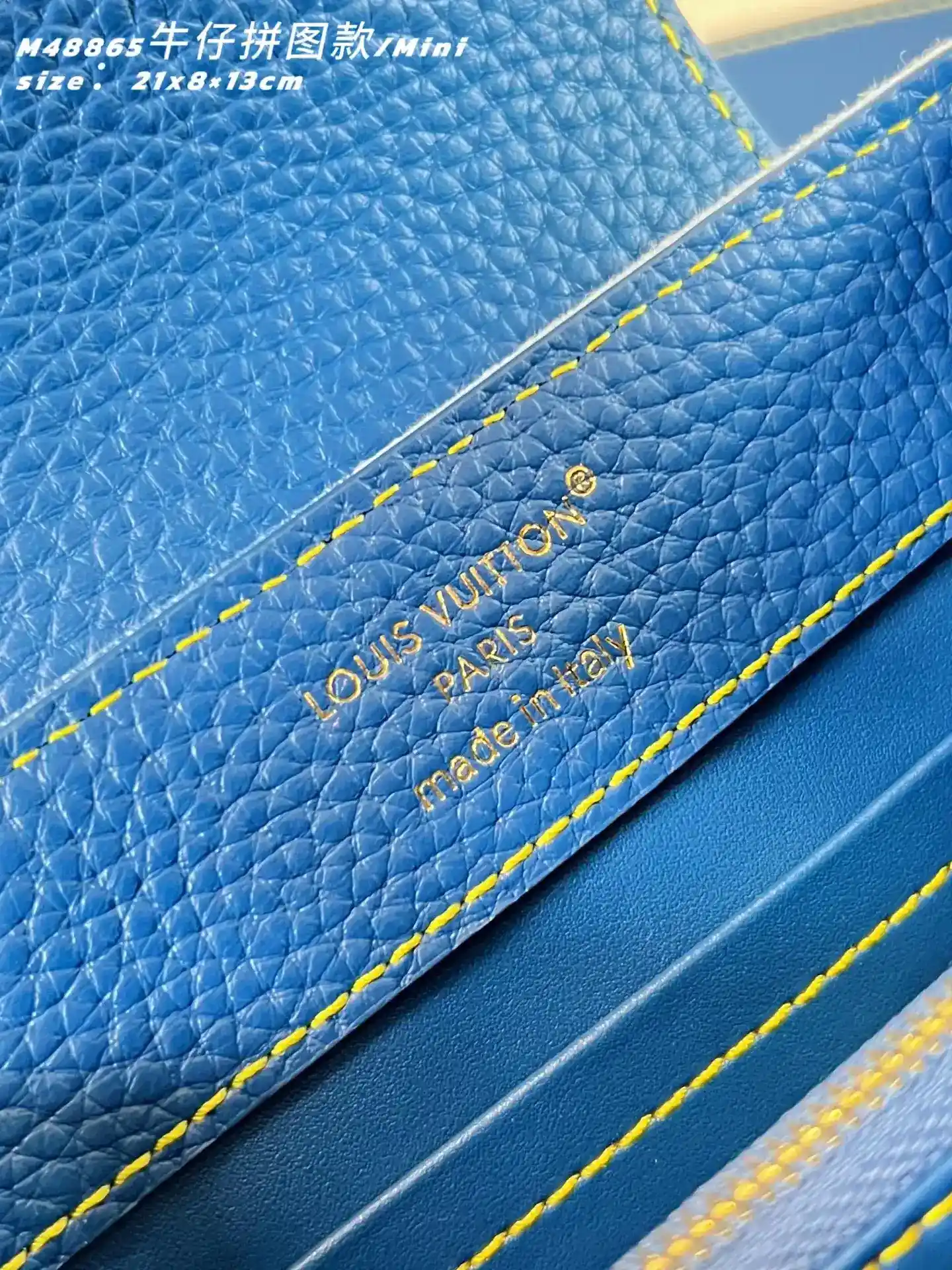 Louis Vuitton Capucines Denim Top Handle Bag product photo from LabelPicks