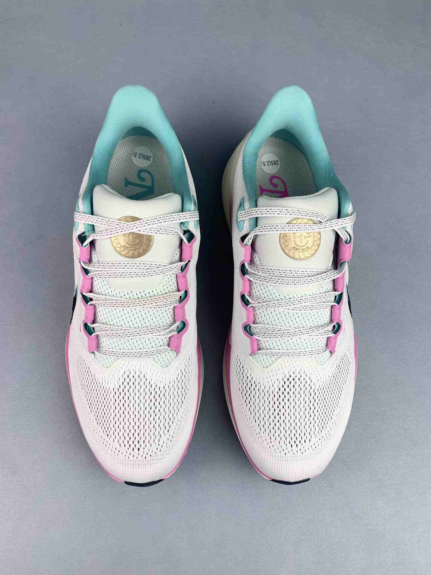 Nike Pegasus 41 Shoes