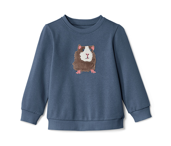 Kleinkind-Sweatshirt